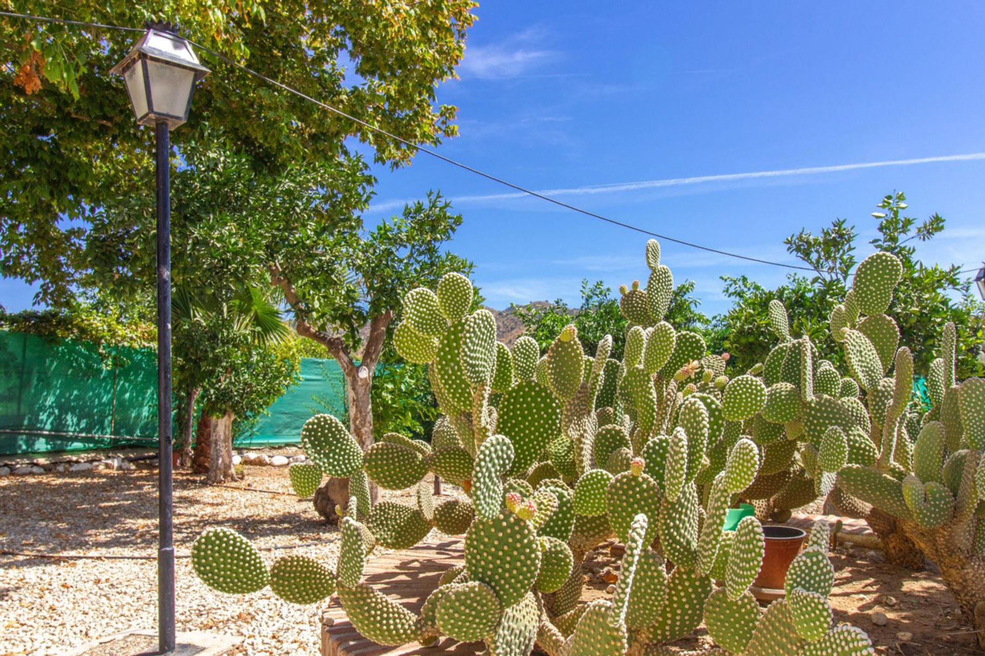 Huis in , Andalucía 11120628