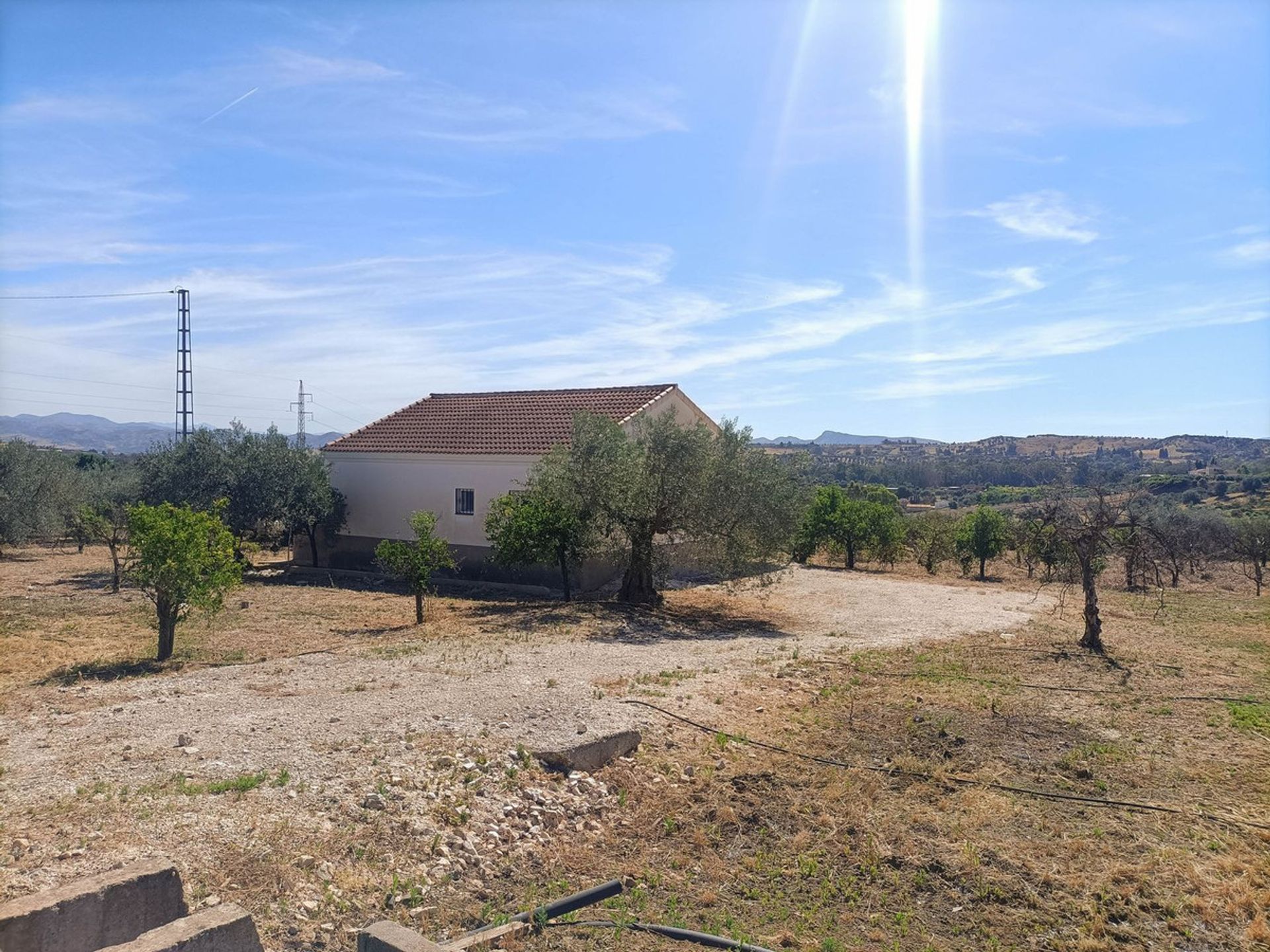 House in Coin, Andalusia 11120811