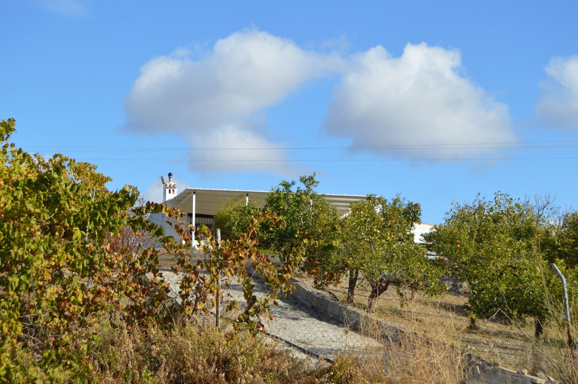 Hus i , Andalucía 11120832