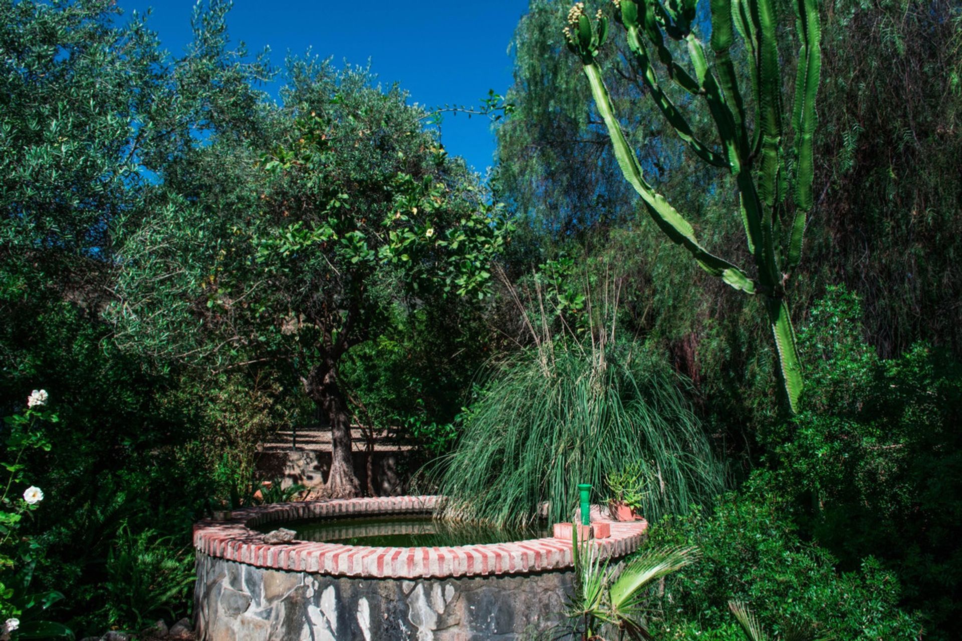 Casa nel , Andalucía 11120997