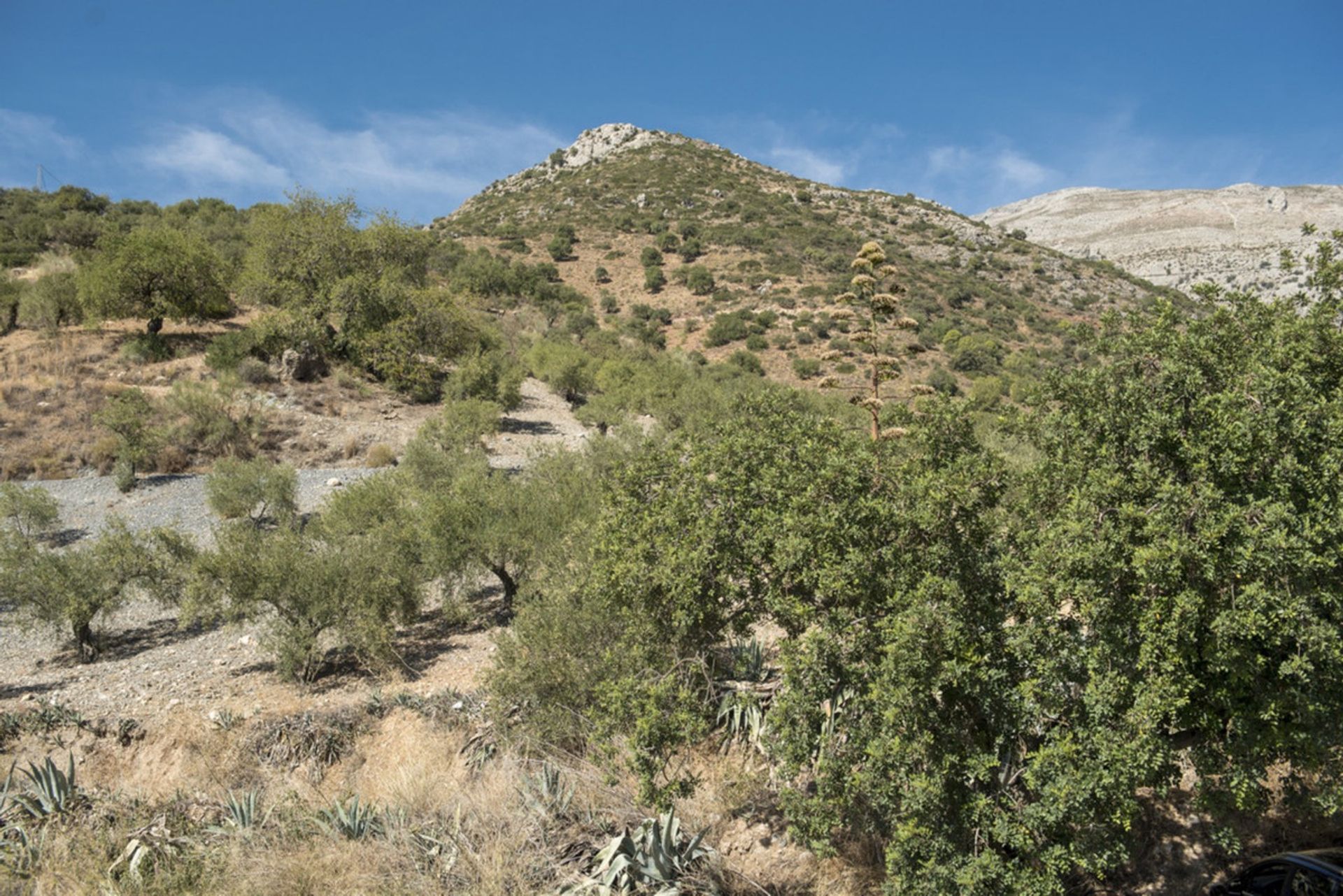 rumah dalam El Chorro, Andalucía 11121027