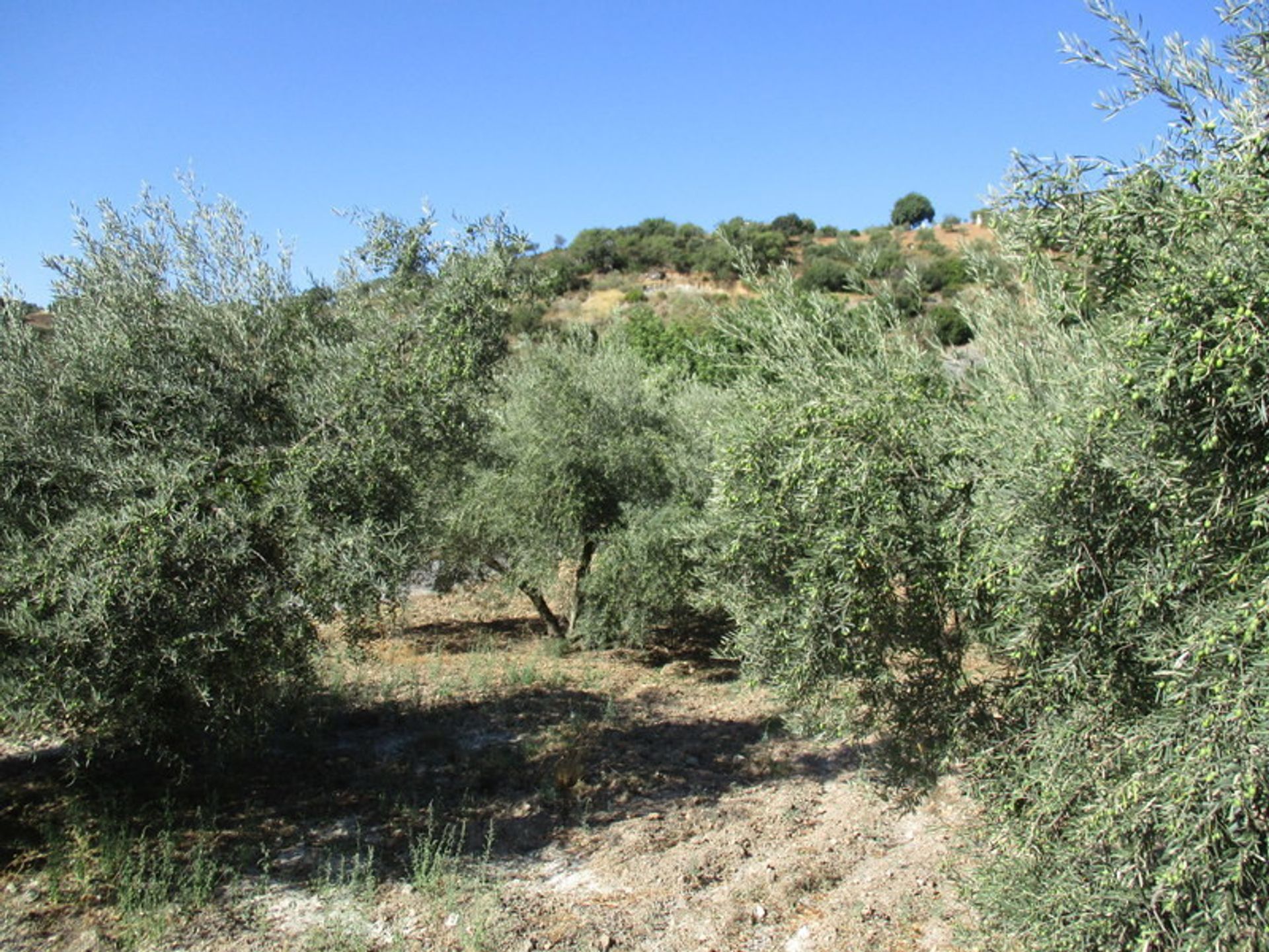 Yang lain dalam El Chorro, Andalucía 11121127