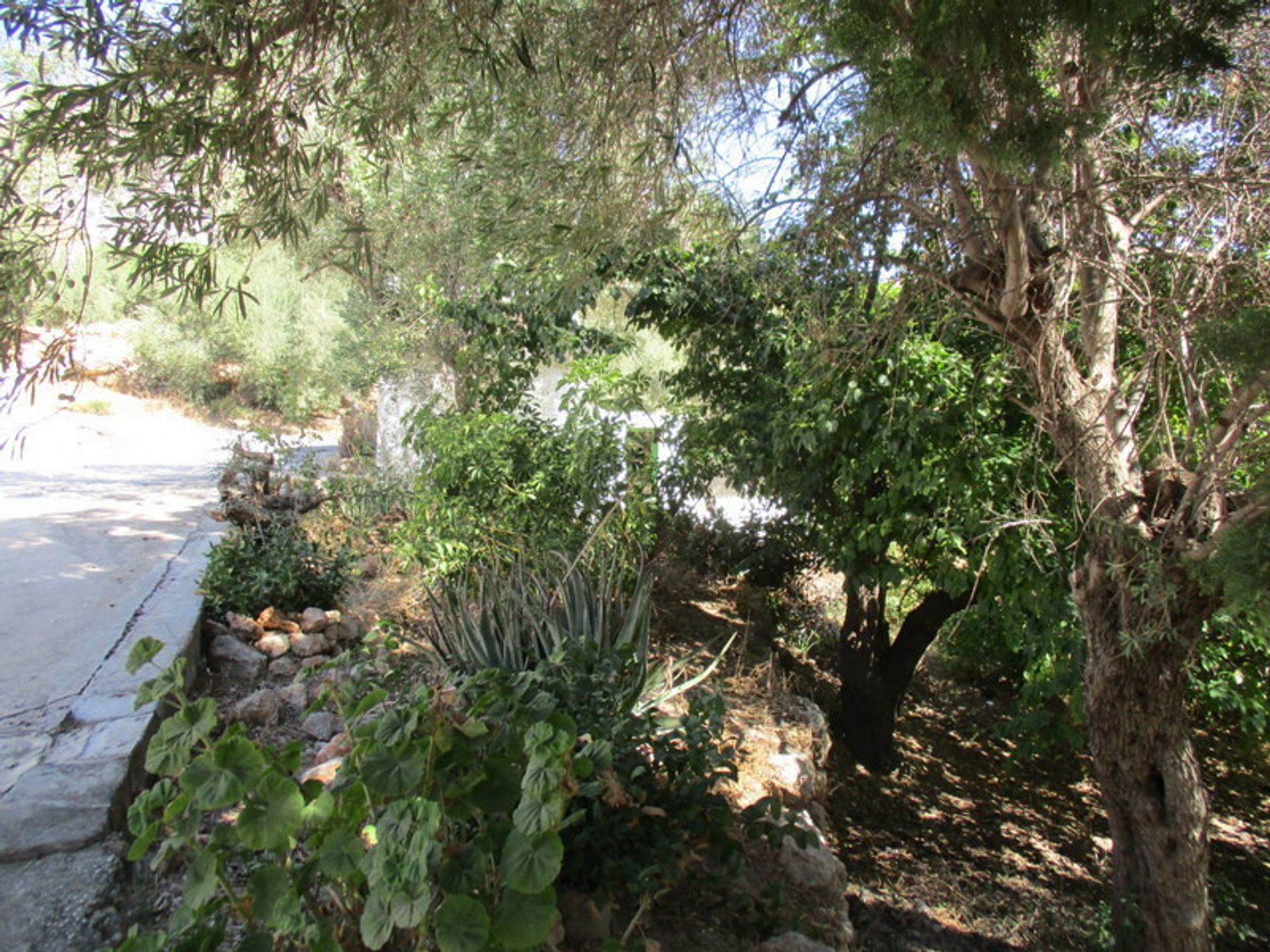 Yang lain dalam El Chorro, Andalucía 11121127