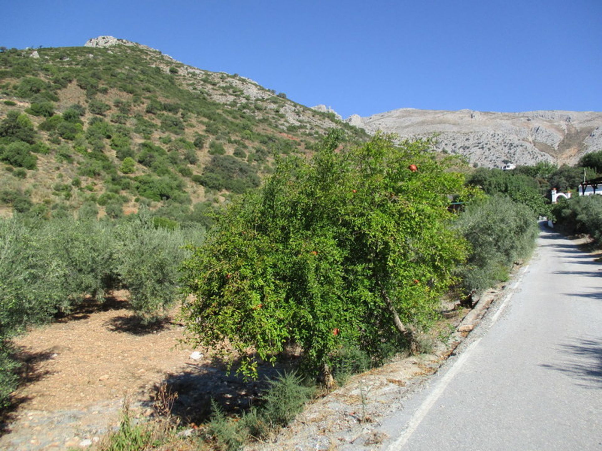 Yang lain dalam El Chorro, Andalucía 11121127