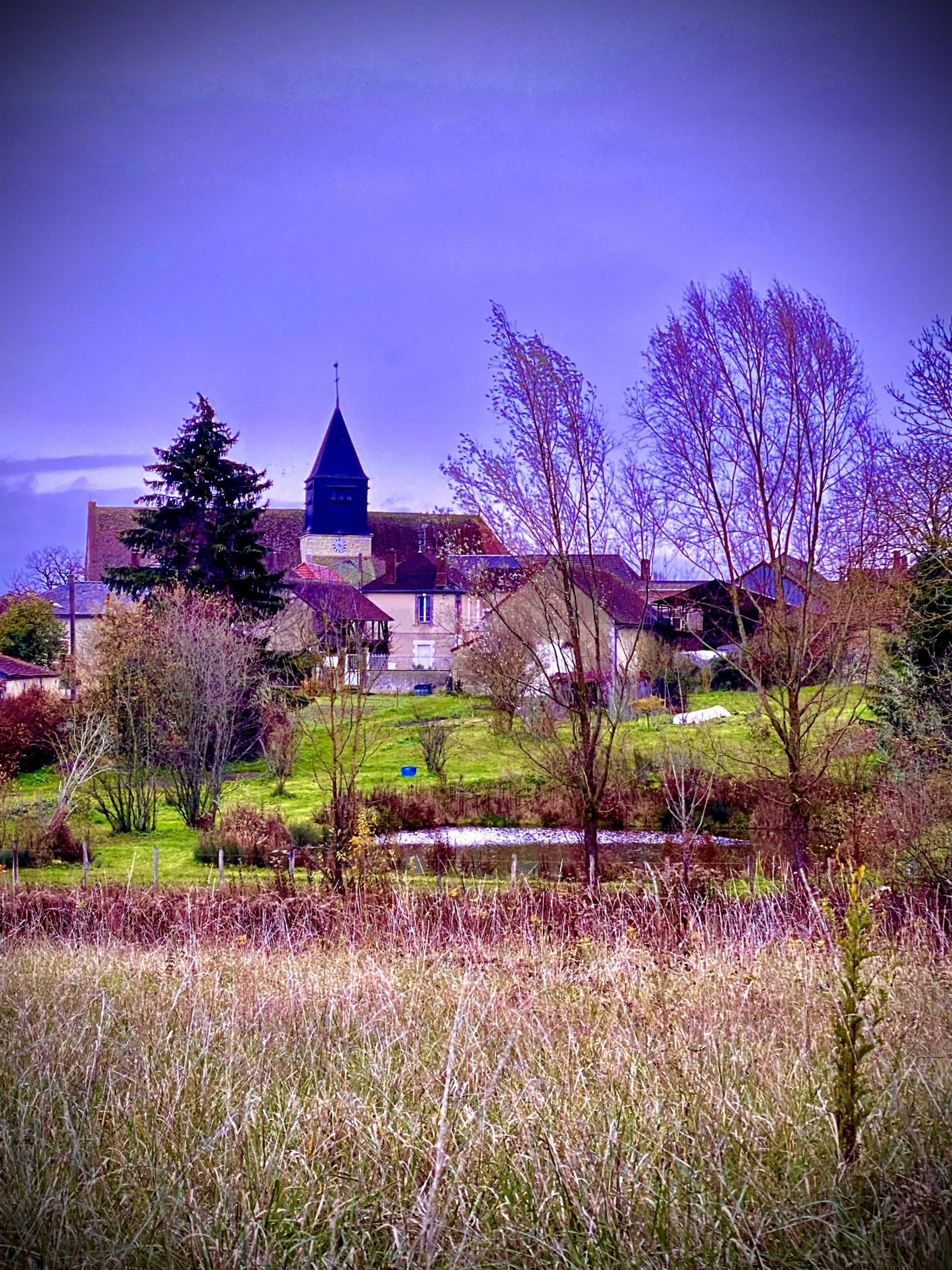 Land in Fleury-la-Vallée, Bourgogne-Franche-Comte 11121696