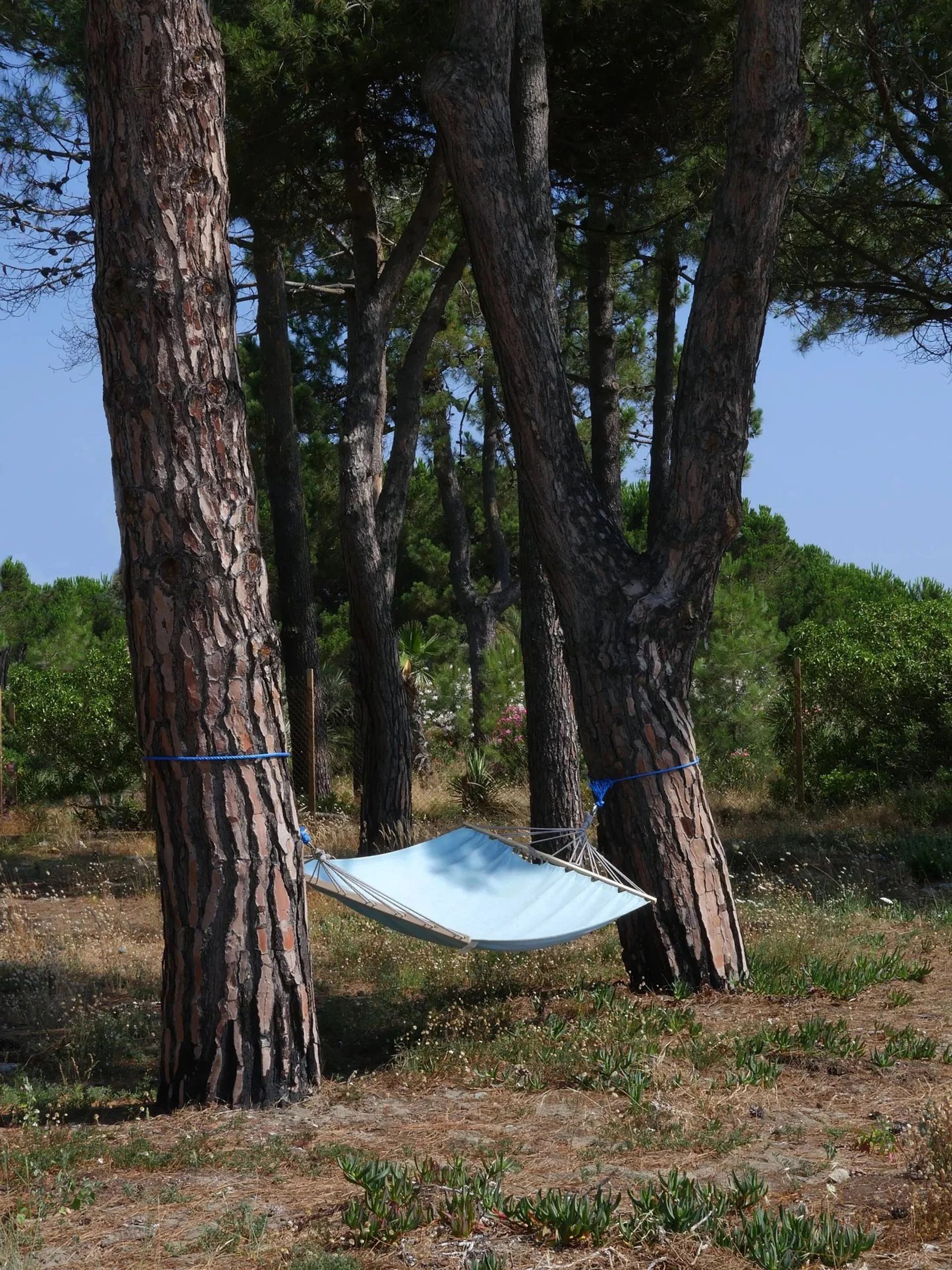 Casa nel Ajaccio, Corsica 11122328