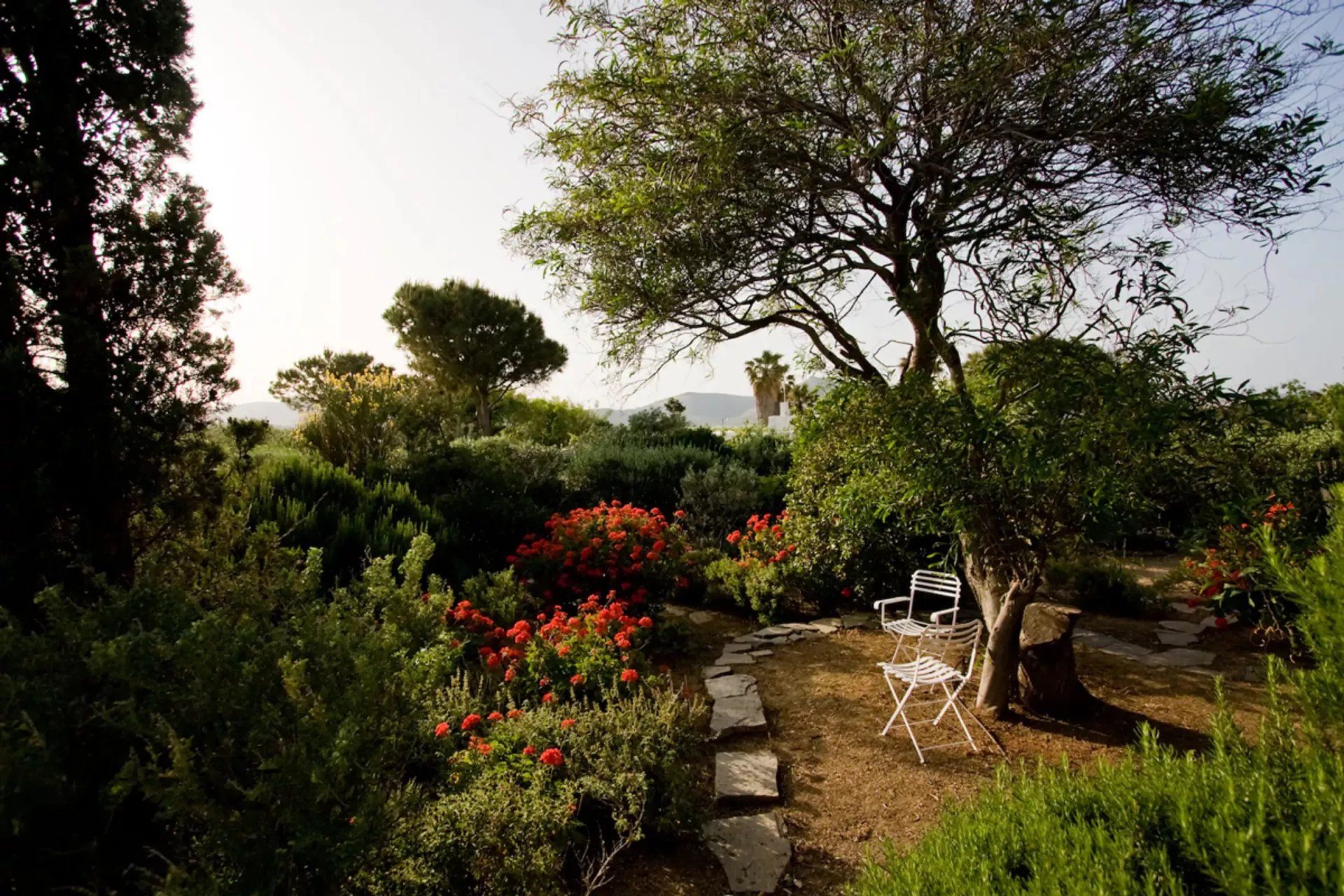 rumah dalam Paros, South Aegean 11122448