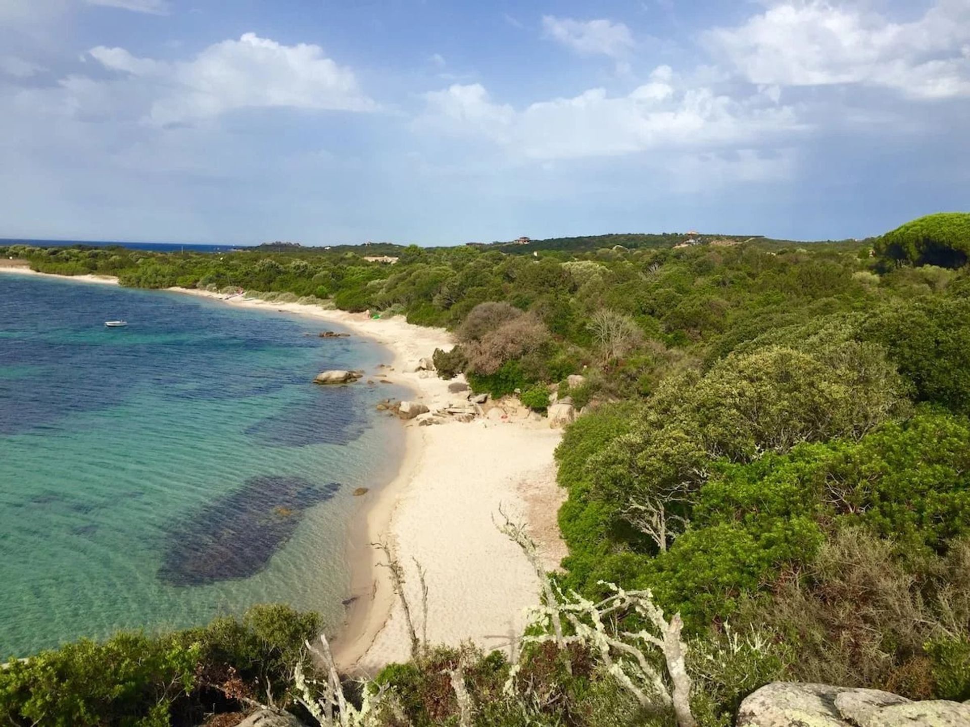 房子 在 Pianottoli-Caldarello, Corse-du-Sud 11122459