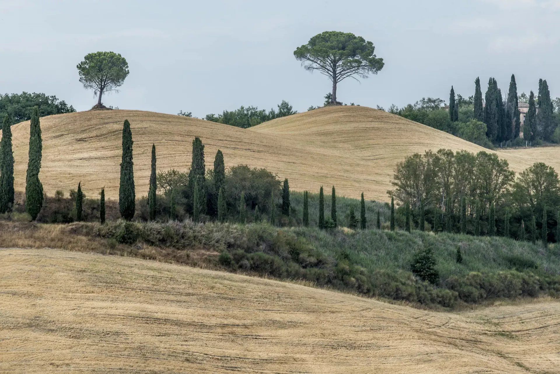 房子 在 Buonconvento, Siena 11123089