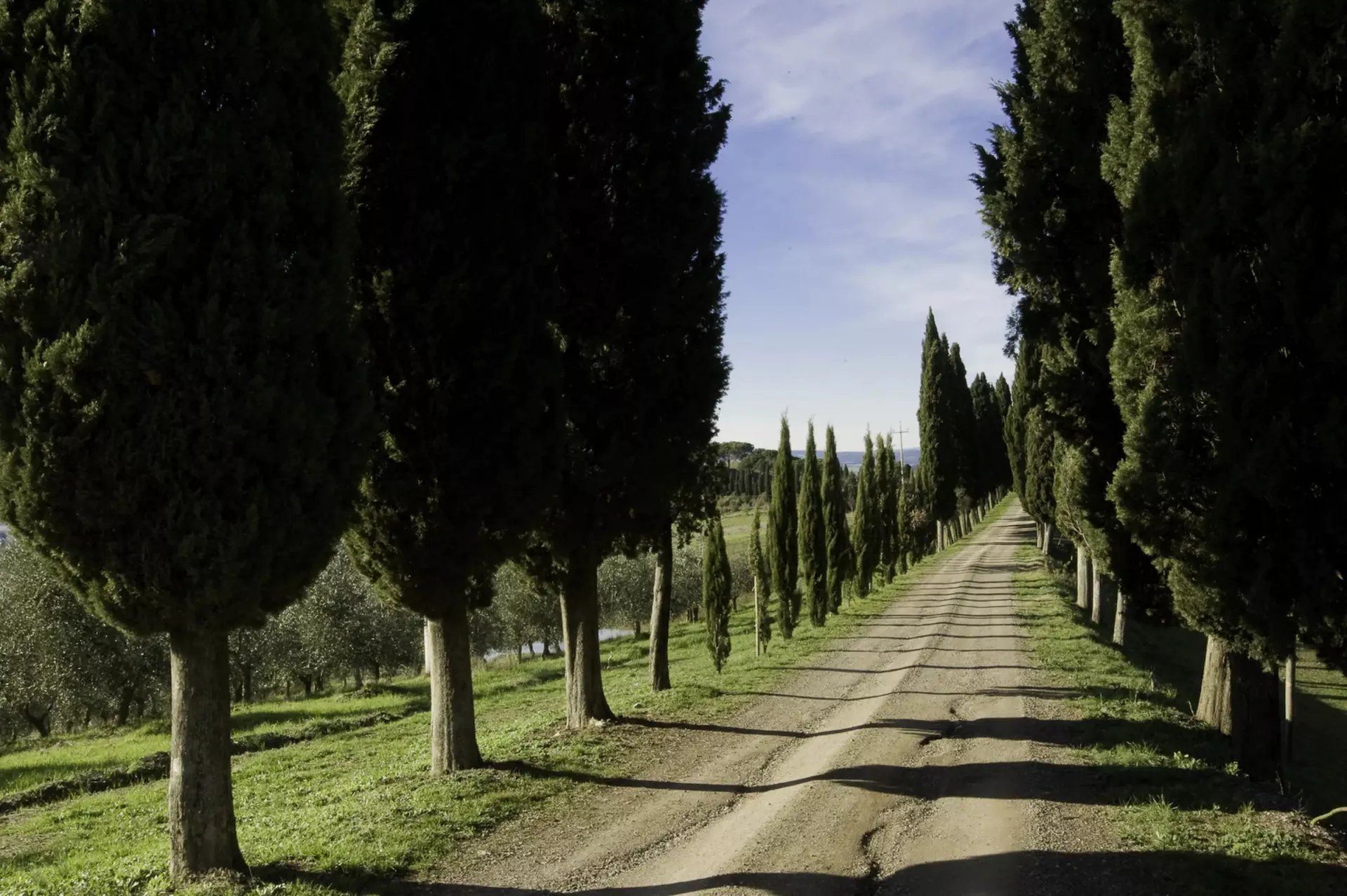 房子 在 Buonconvento, Siena 11123089