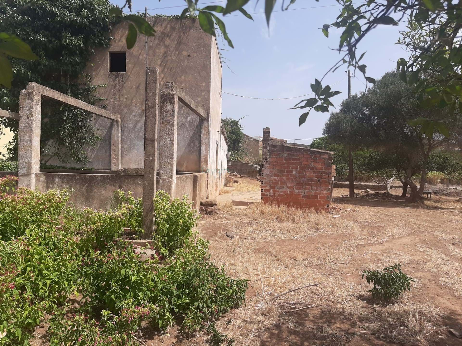 Land in Lagos, Faro 11123504