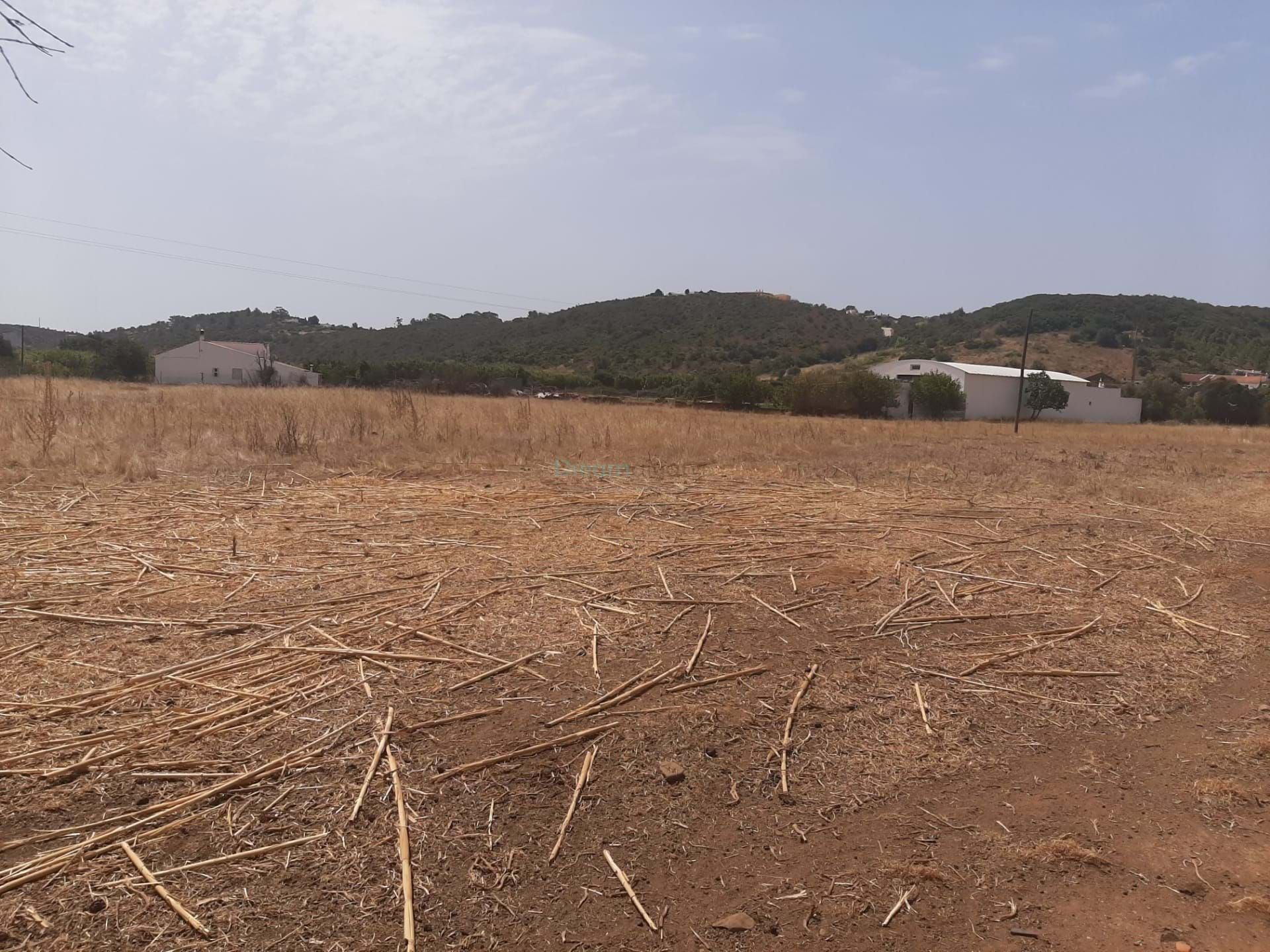 Land in Lagos, Faro 11123504