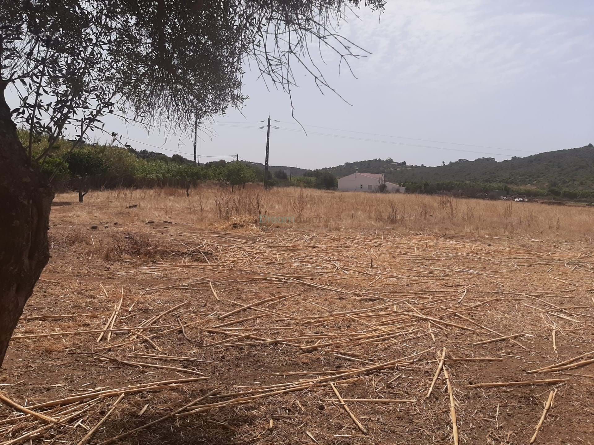 Land in Lagos, Faro 11123504