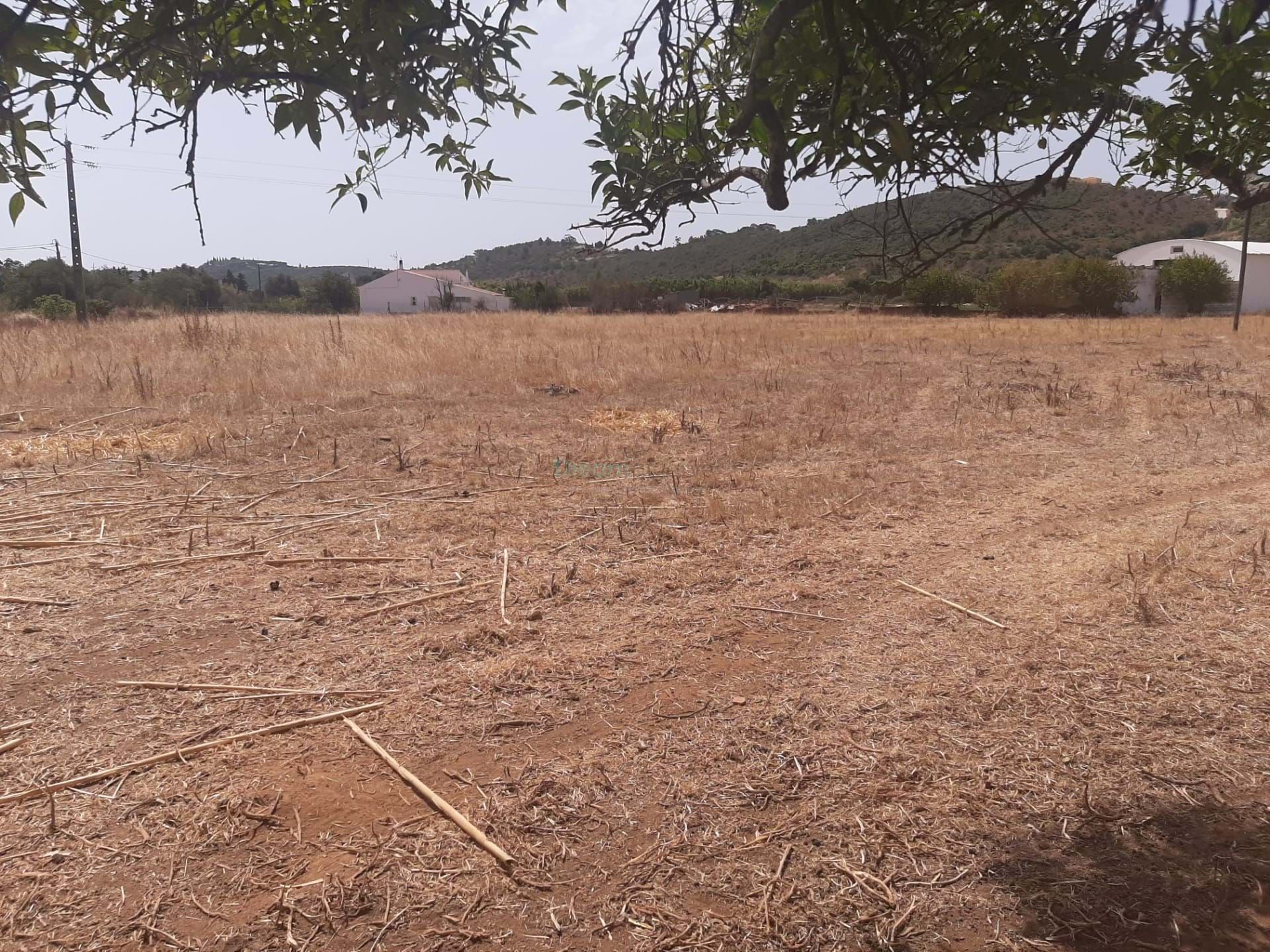 Land in Lagos, Faro 11123504