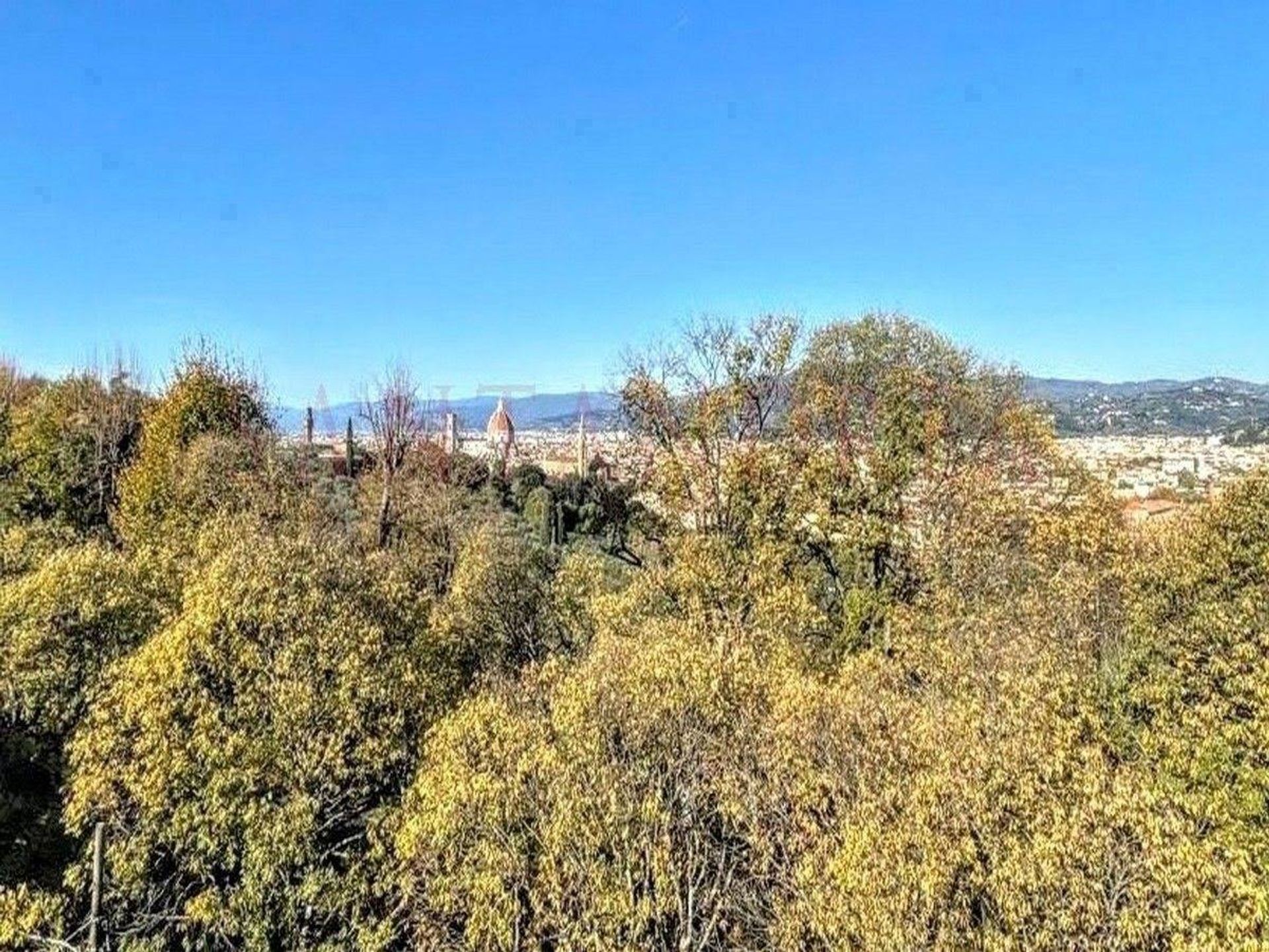 Condominium dans Firenze, Toscana 11123785