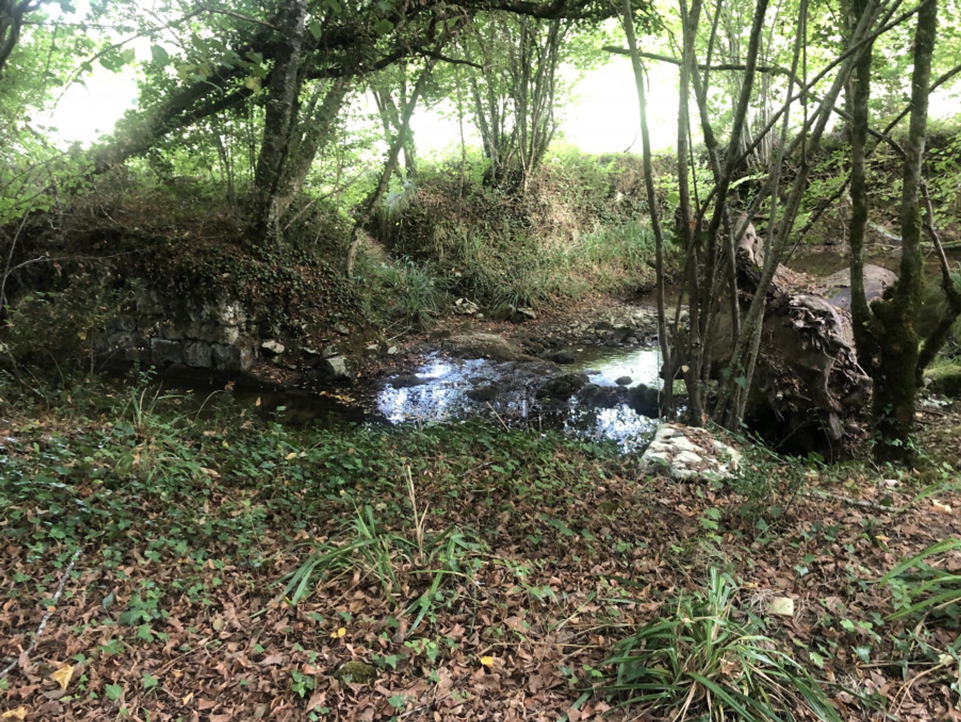 loger dans Saint-Julien-Innocence-Eulalie, Nouvelle-Aquitaine 11123826