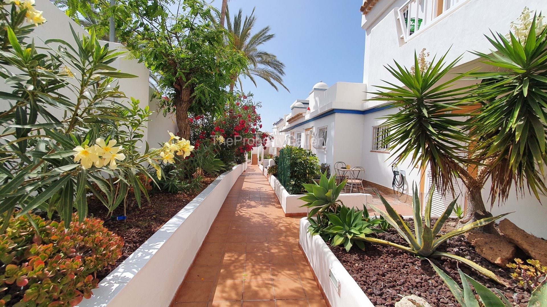 Condominium in Adeje, Canarias 11124278