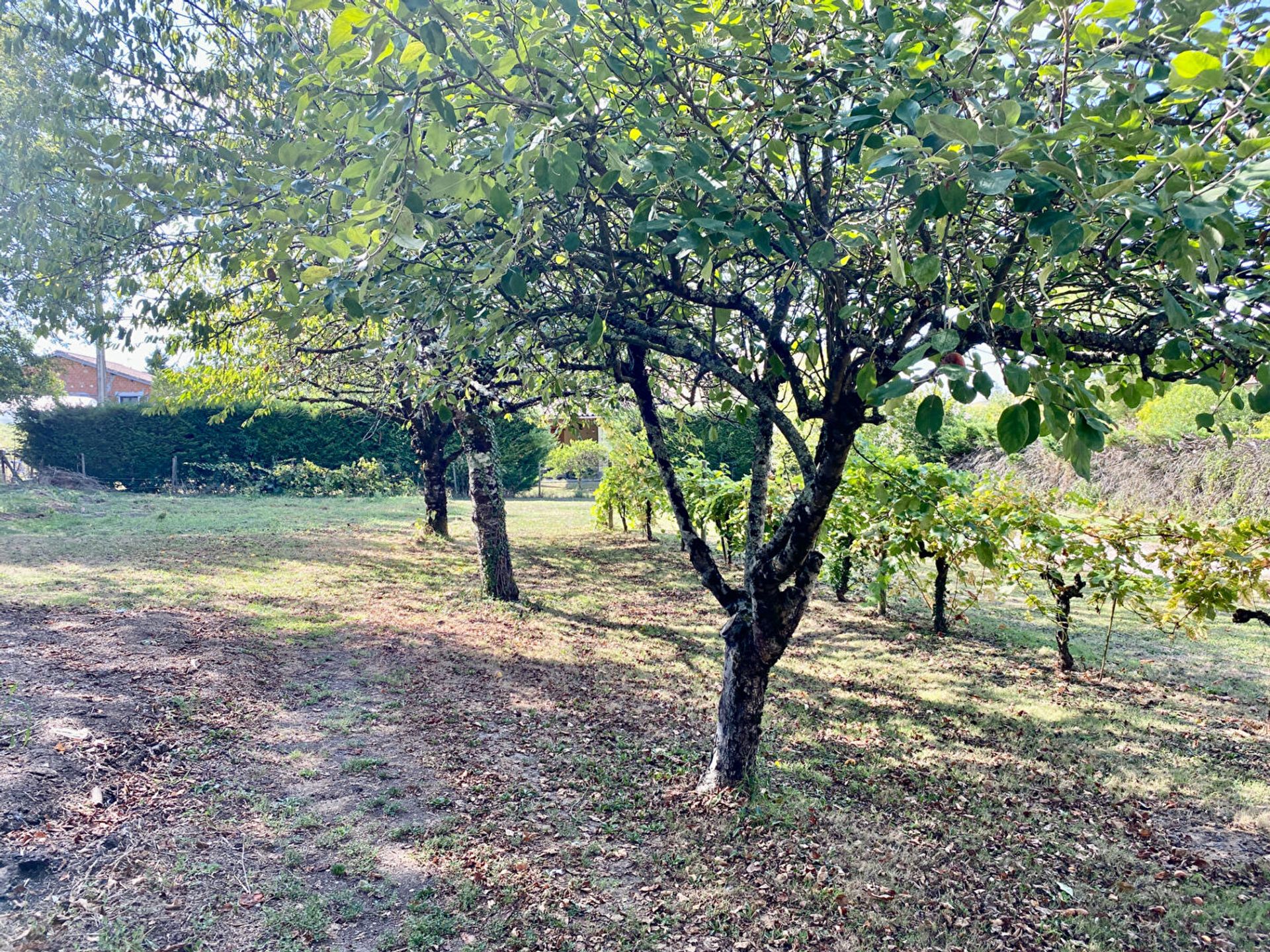 rumah dalam Lauzun, Nouvelle-Aquitaine 11124630