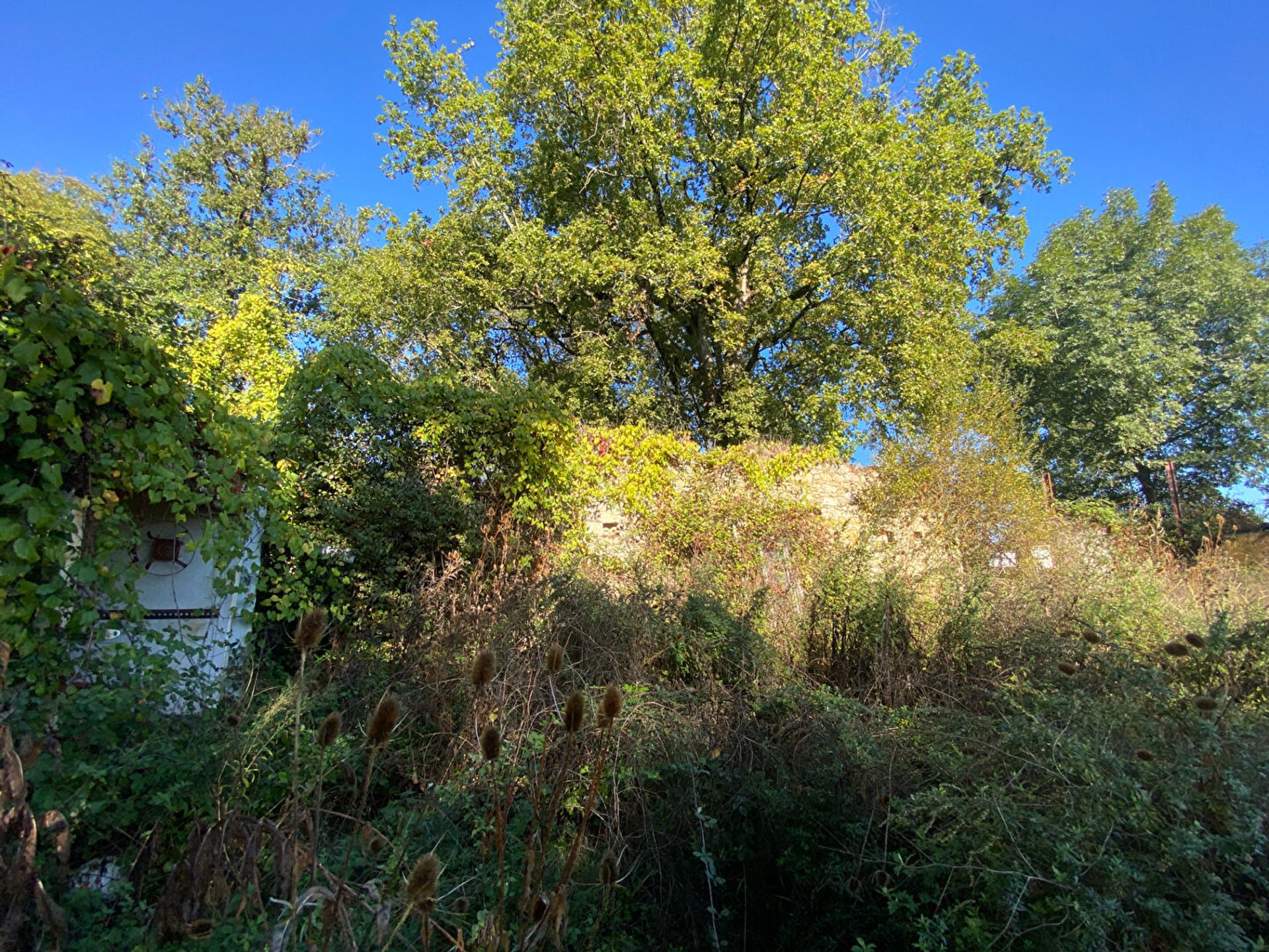 Casa nel Villeréal, Nouvelle-Aquitaine 11124647