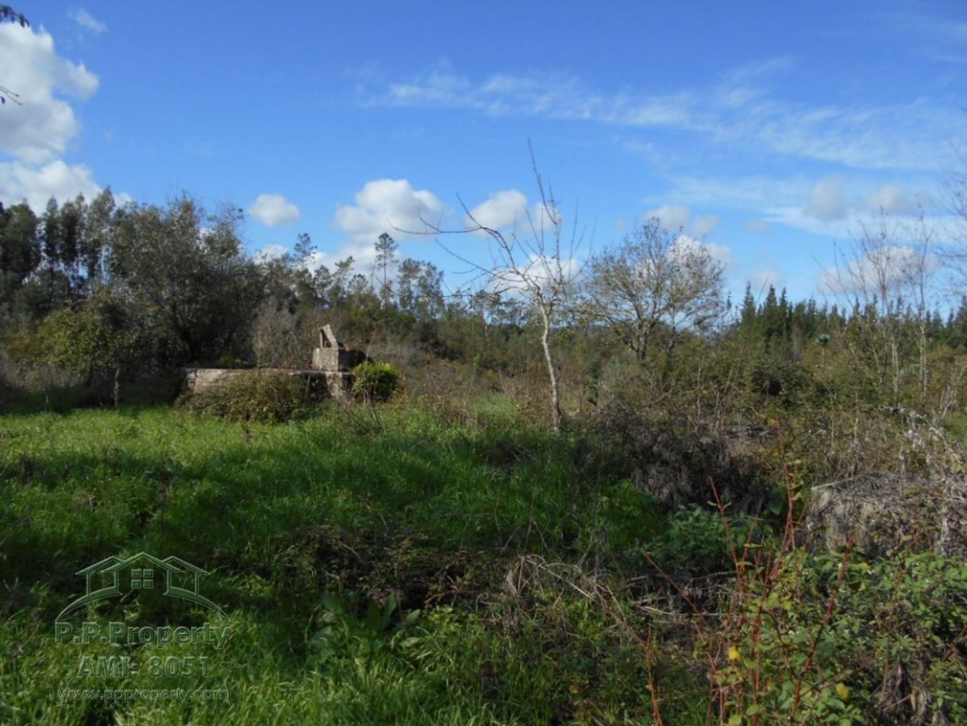 Haus im Ansião, Leiria District 11124878