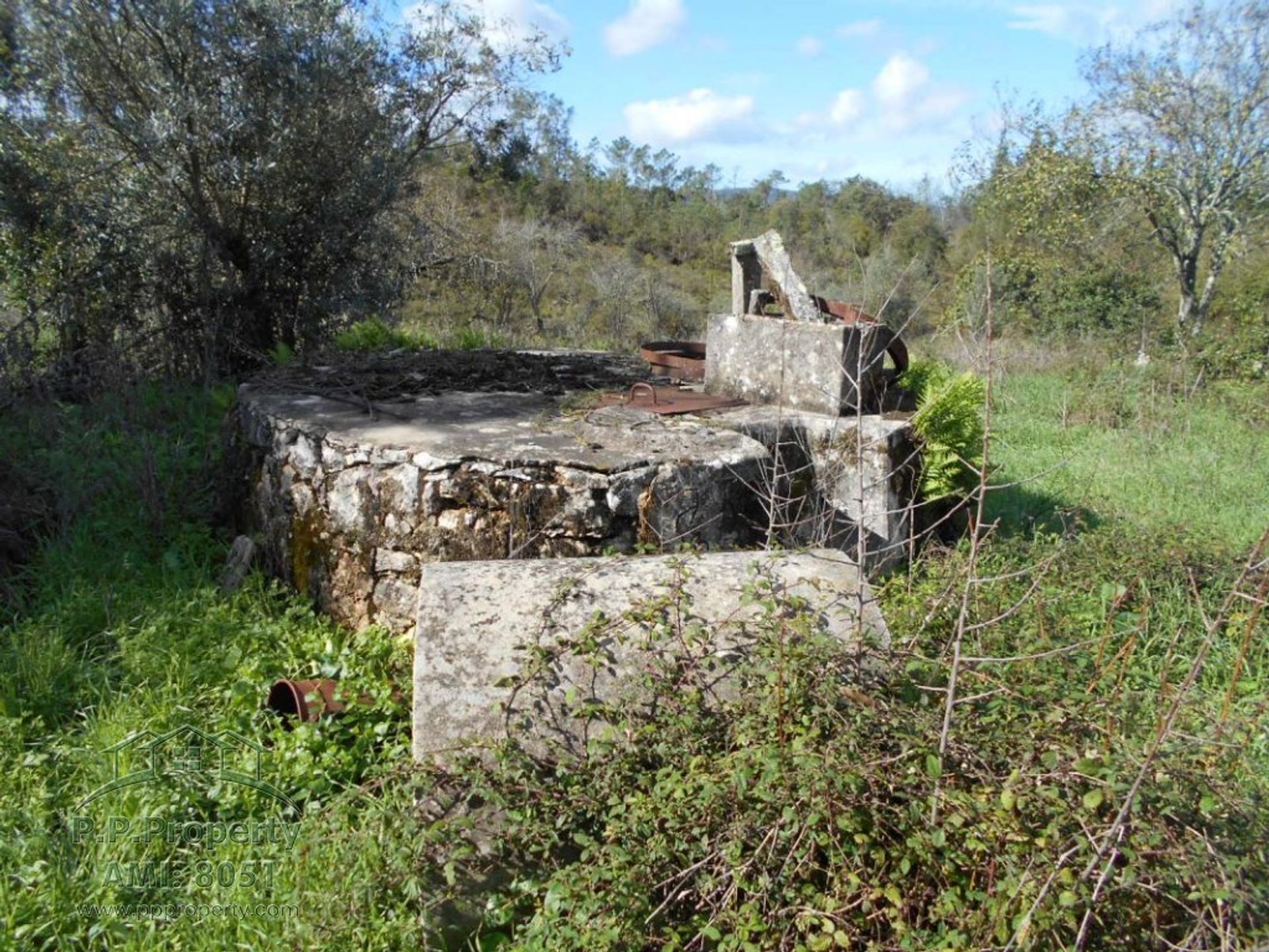 Haus im Ansião, Leiria District 11124878