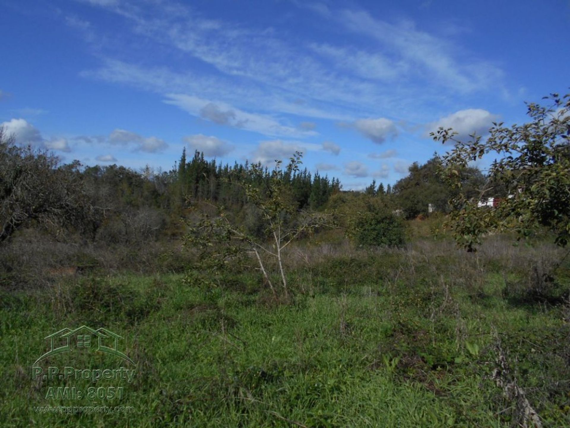 Haus im Ansião, Leiria District 11124878