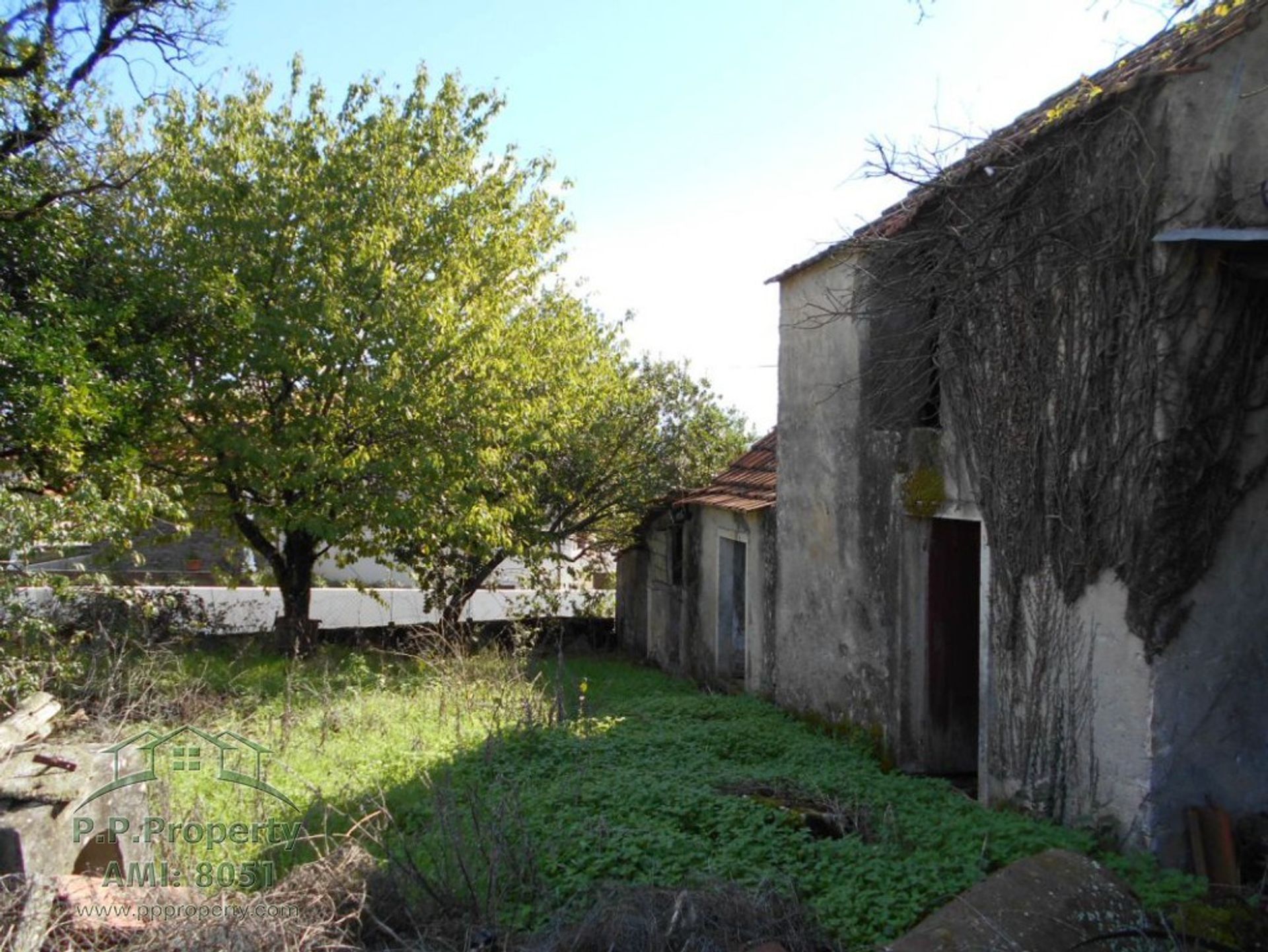 Haus im Ansião, Leiria District 11124878