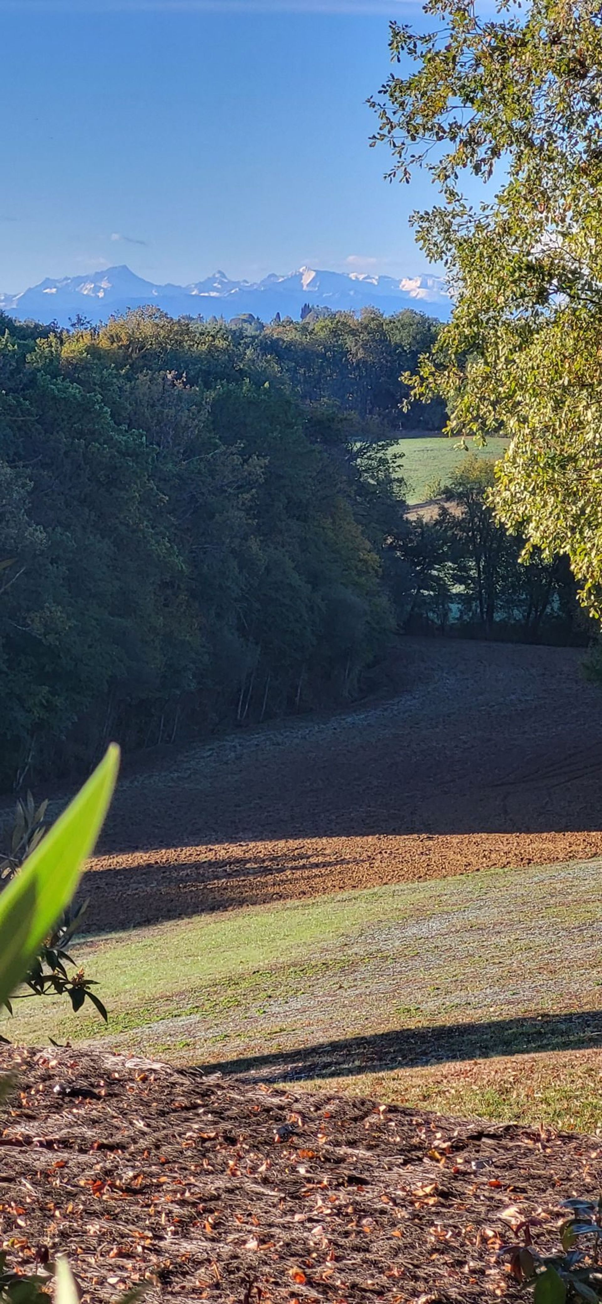 Talo sisään Marciac, Occitanie 11125363