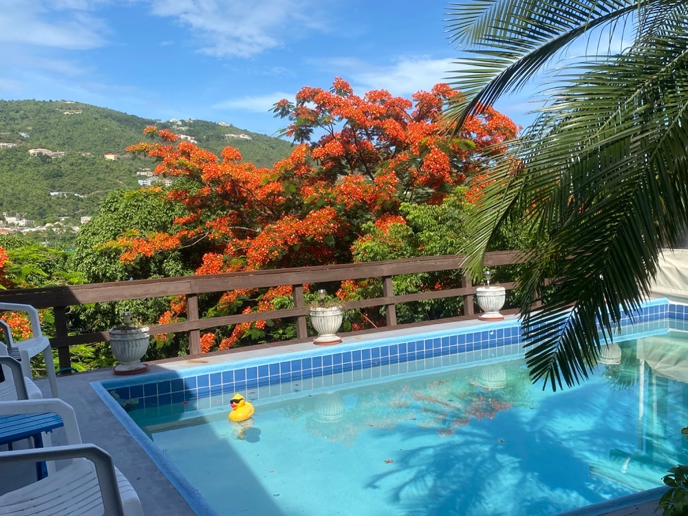 House in Road Town, Tortola 11125437