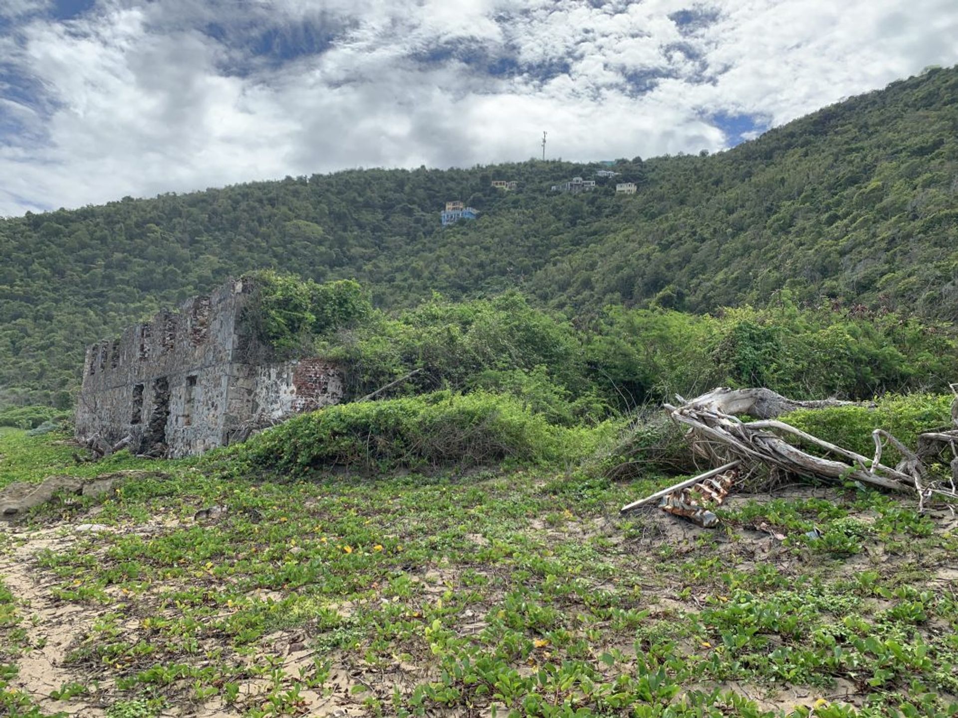 Tierra en bahía de coral, Islas Virgenes 11125473