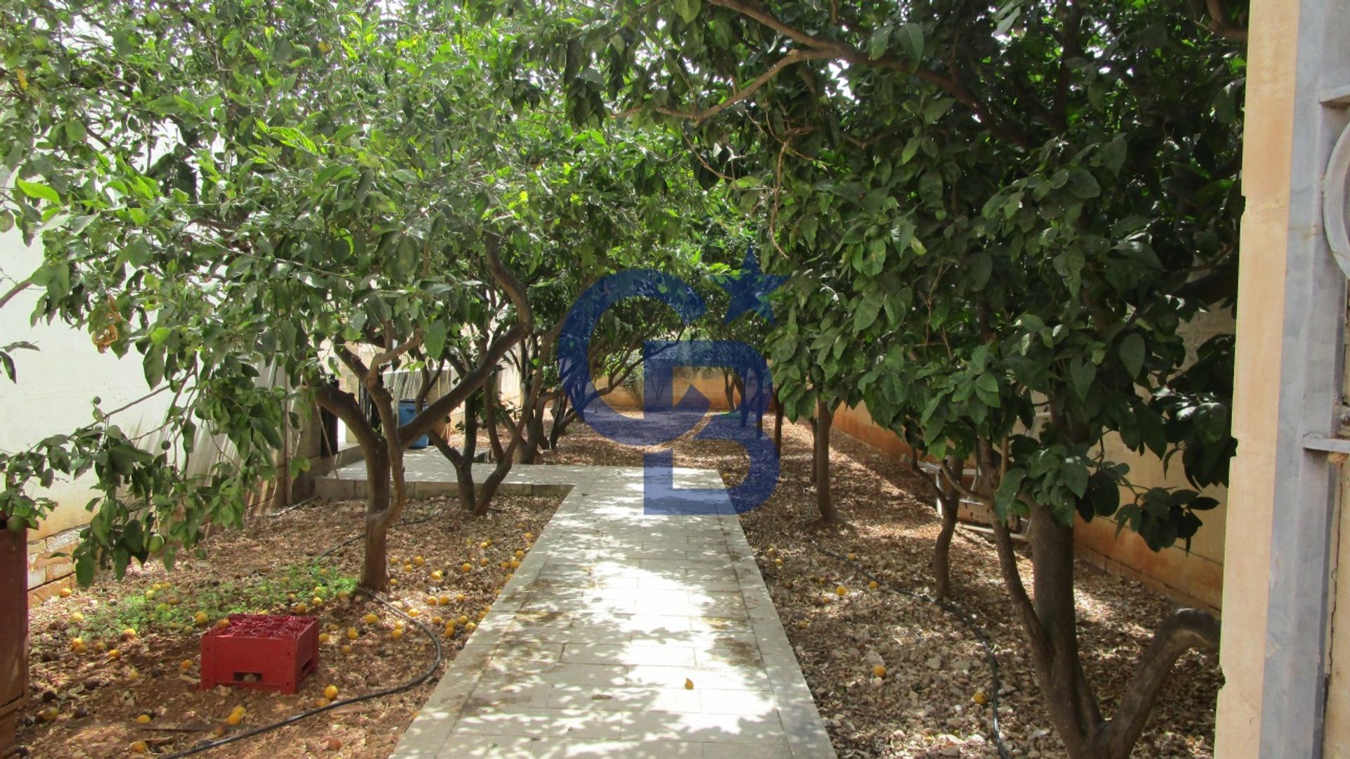 House in Ta' Qali, Attard 11125933