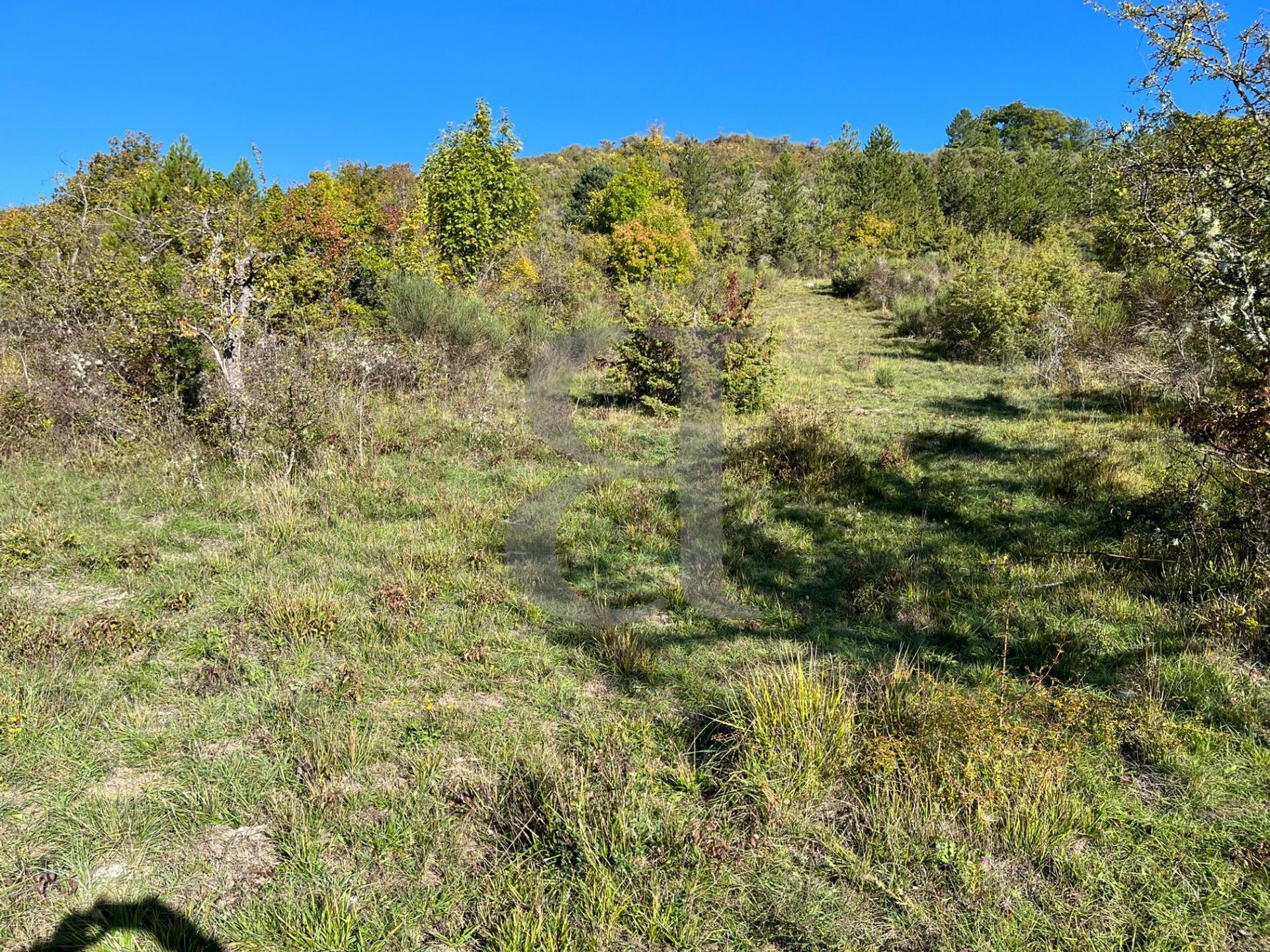 بيت في Nyons, Auvergne-Rhône-Alpes 11126541