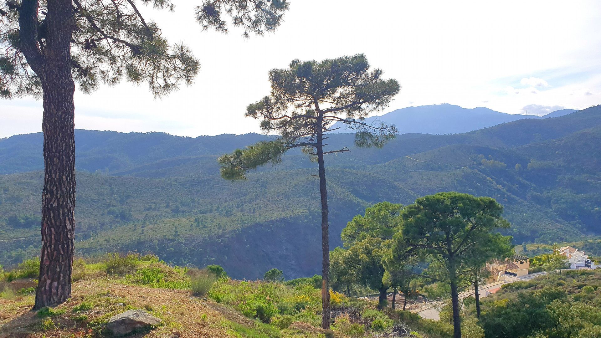 Terre dans Benahavís, Andalusia 11126873