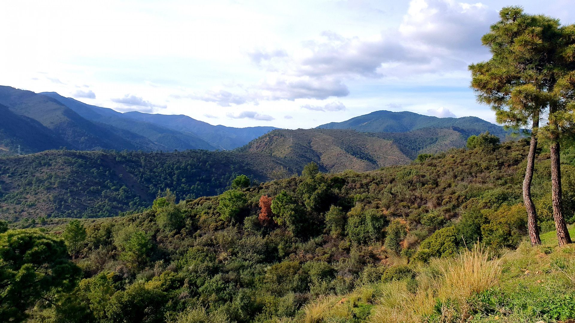 Terre dans Benahavís, Andalusia 11126873