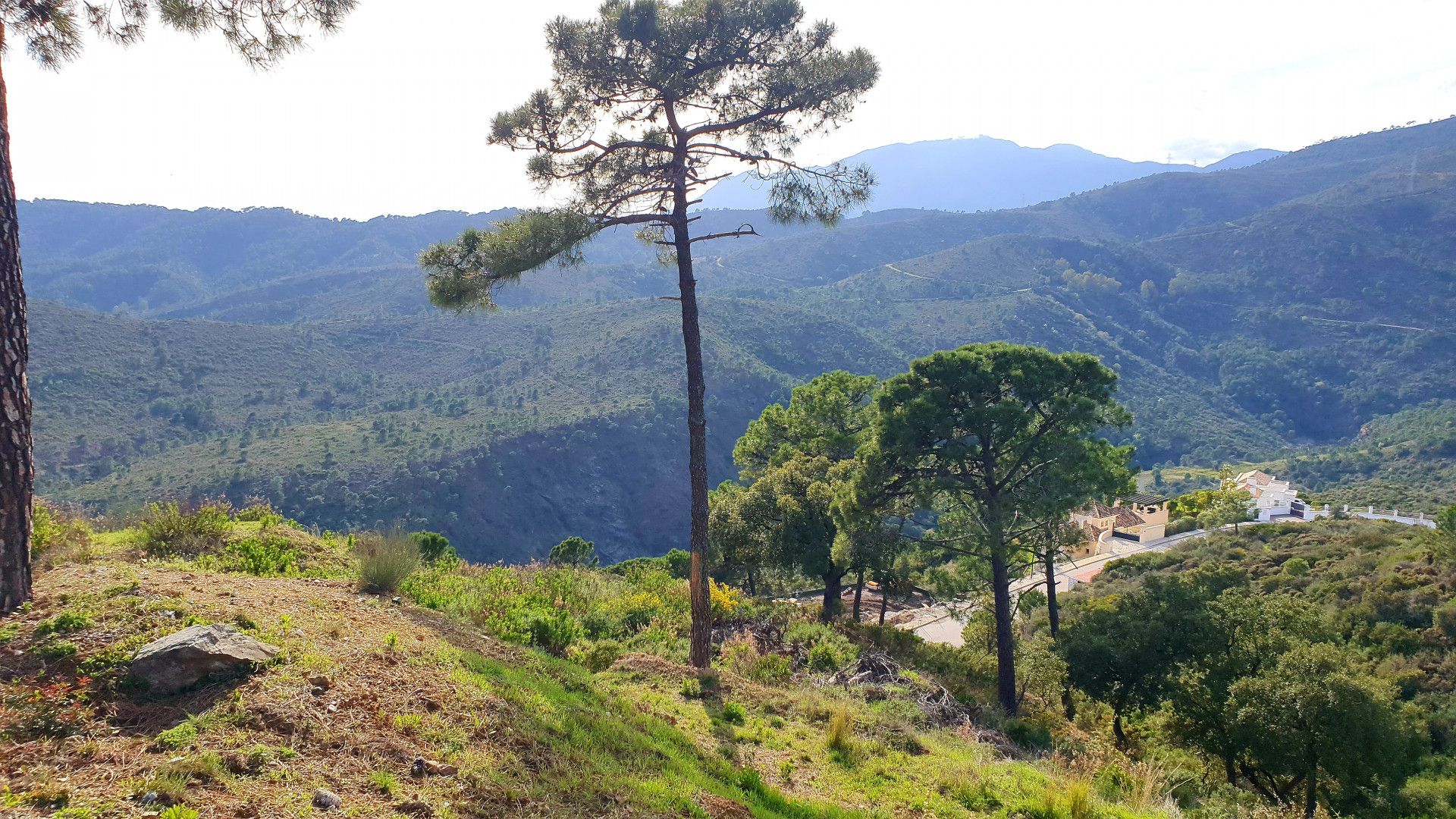 Terre dans Benahavís, Andalusia 11126873