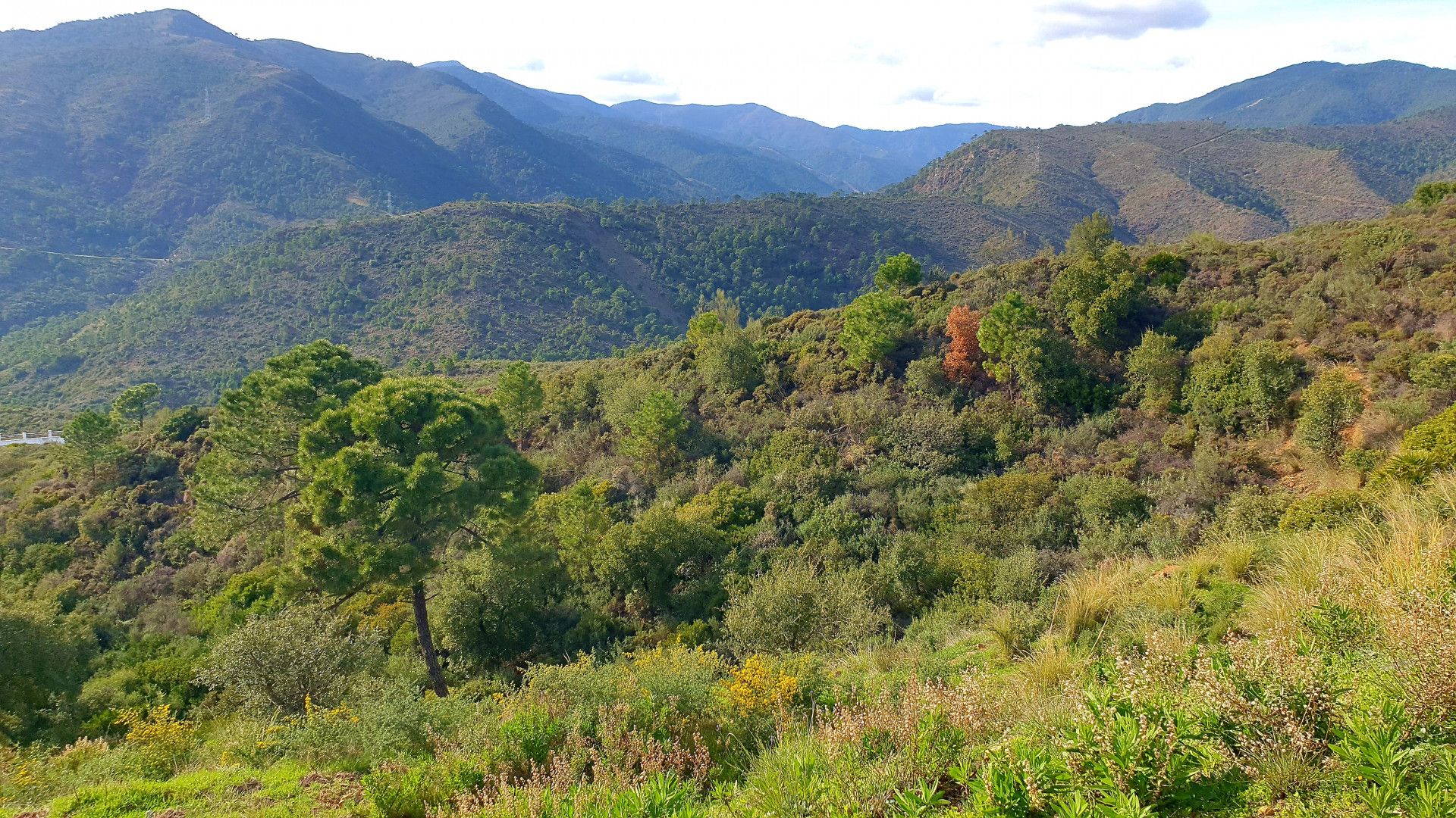 Terre dans Benahavís, Andalusia 11126873