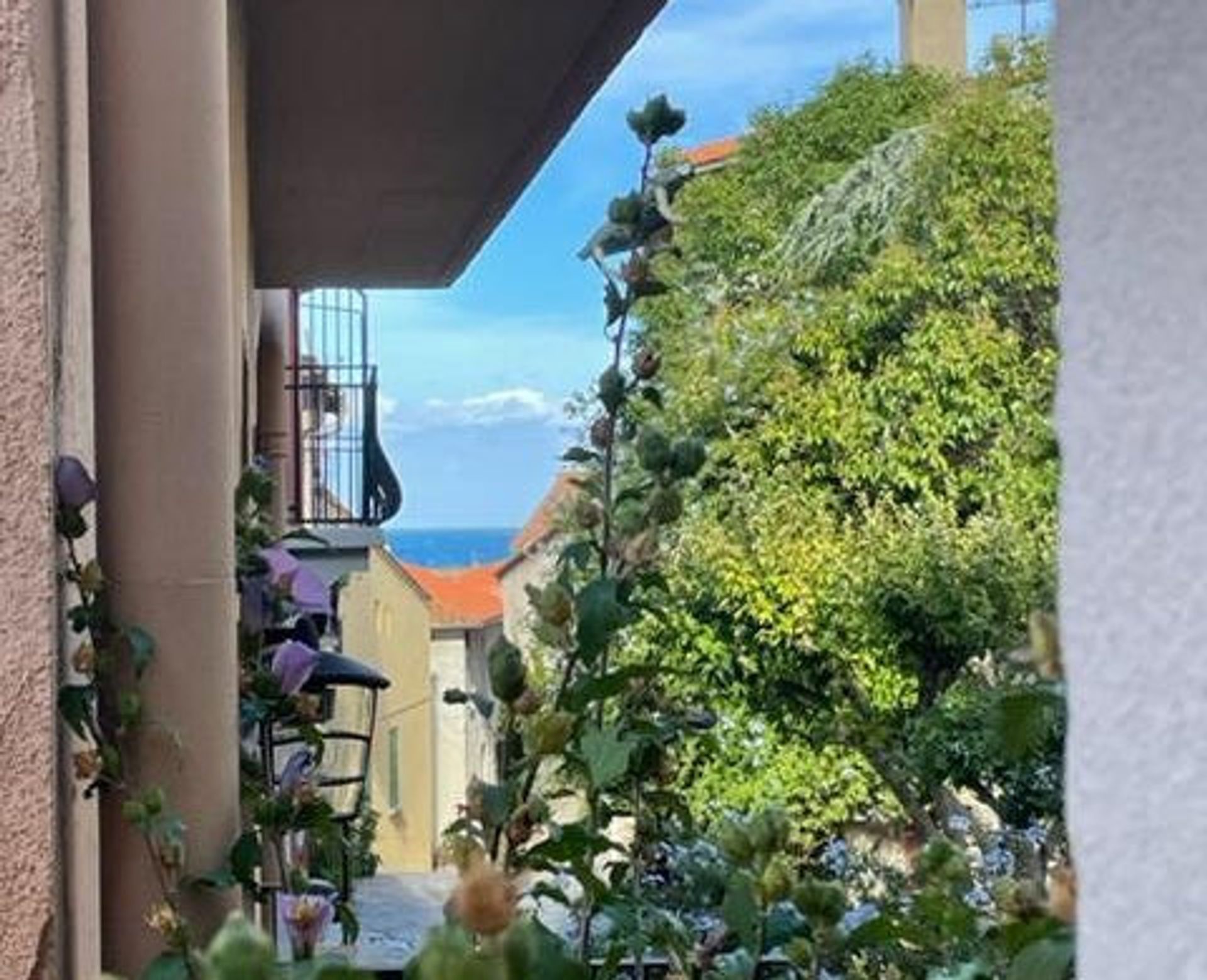 Condominio en Collioure, Occitanie 11126953