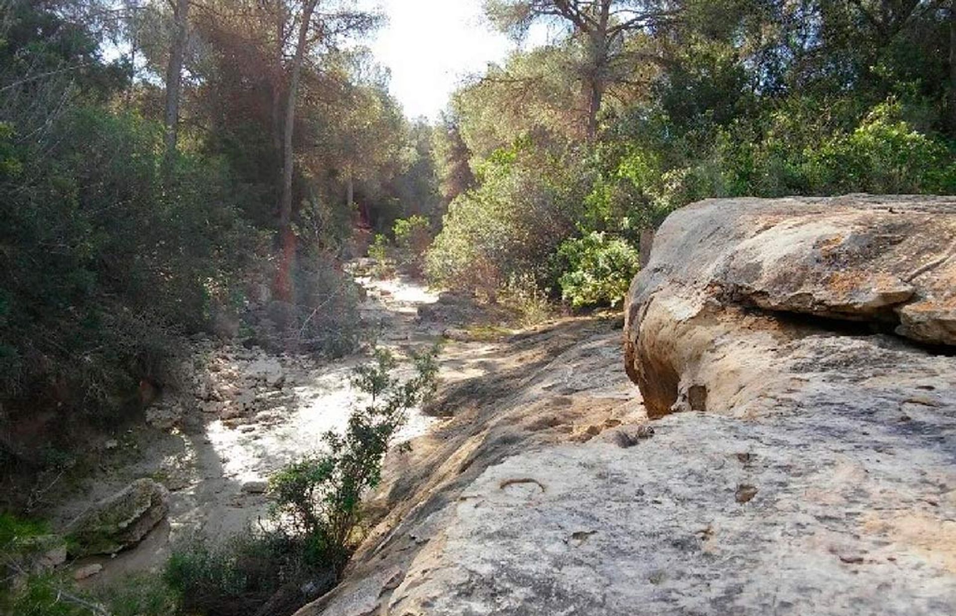 loger dans Pilar de la Horadada, Valencian Community 11127907