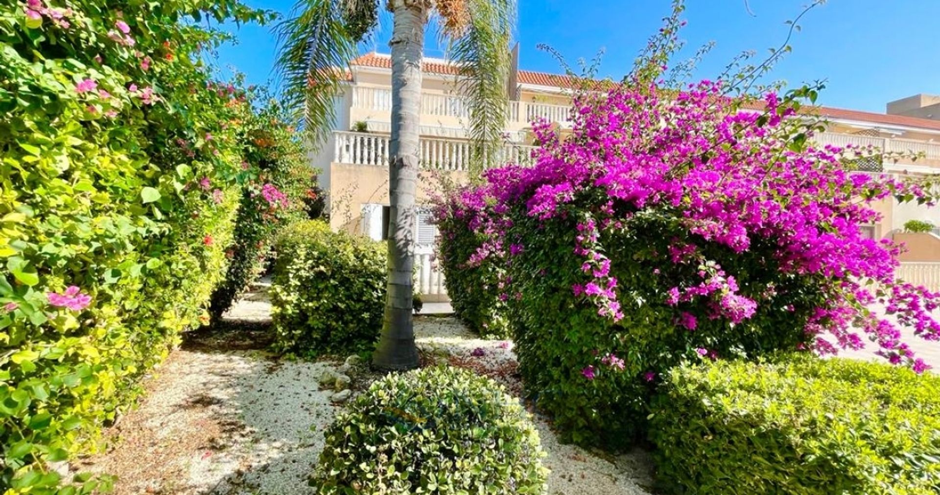 Кондоминиум в Kissonerga, Paphos 11127978