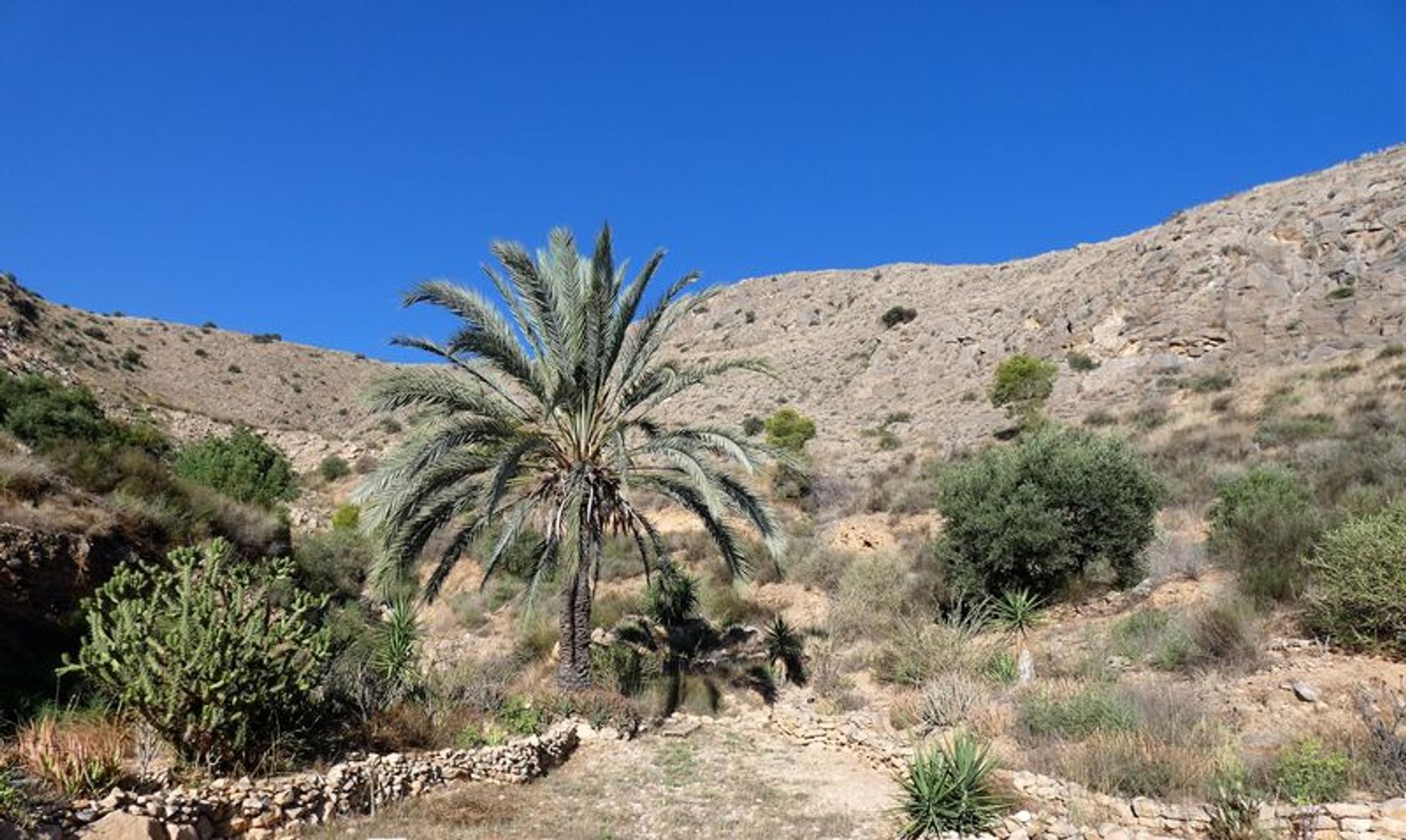 Talo sisään Raiguero de Bonanza, Comunidad Valenciana 11128210