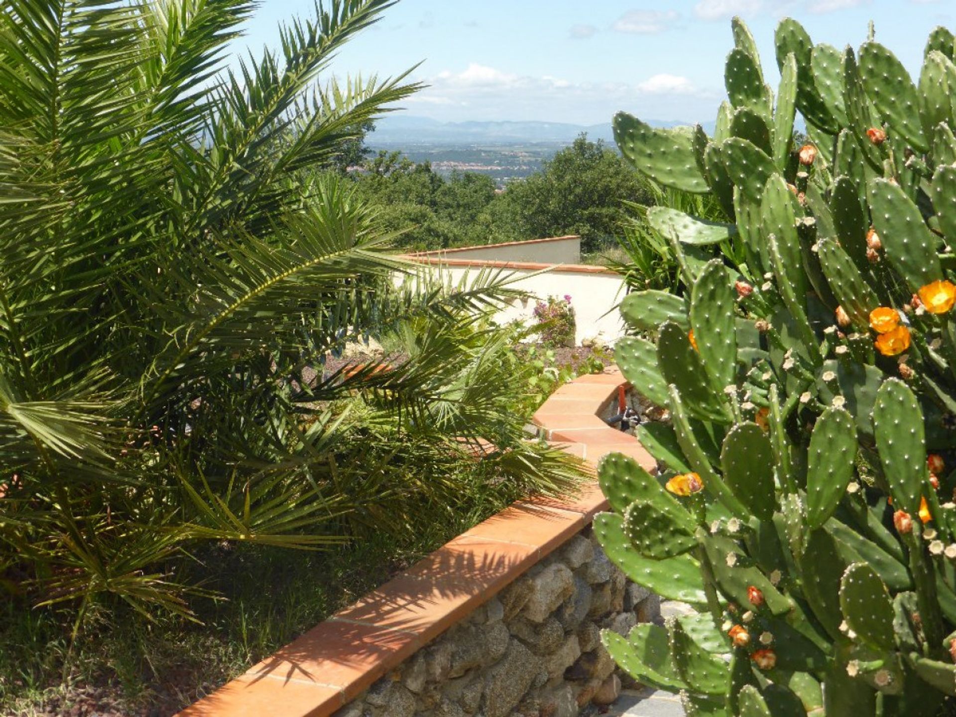 casa no Laroque-des-Albères, Occitanie 11128320