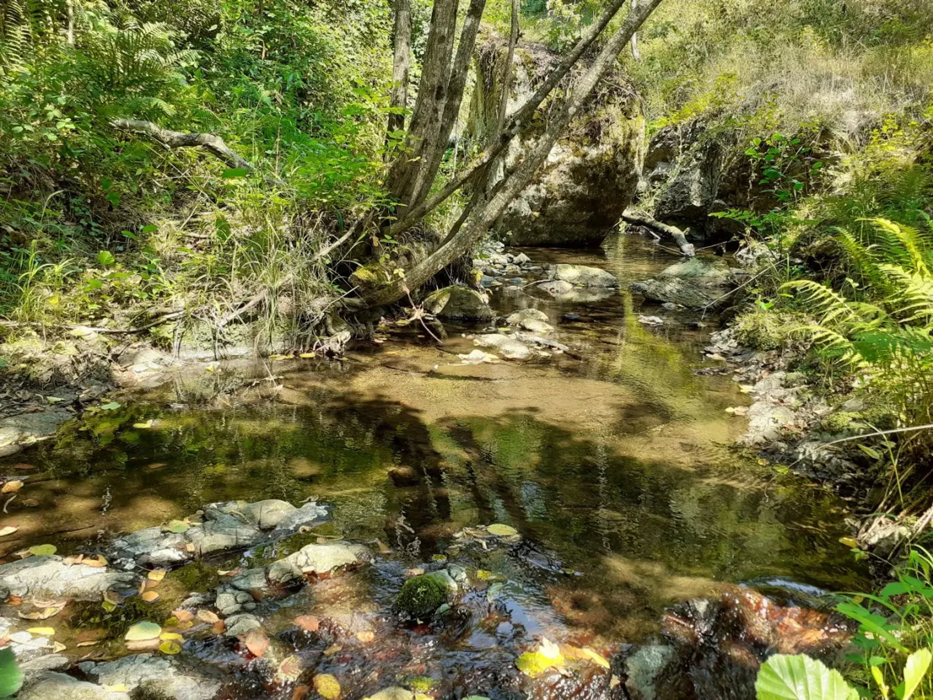 Talo sisään Montferrer, Occitanie 11128383