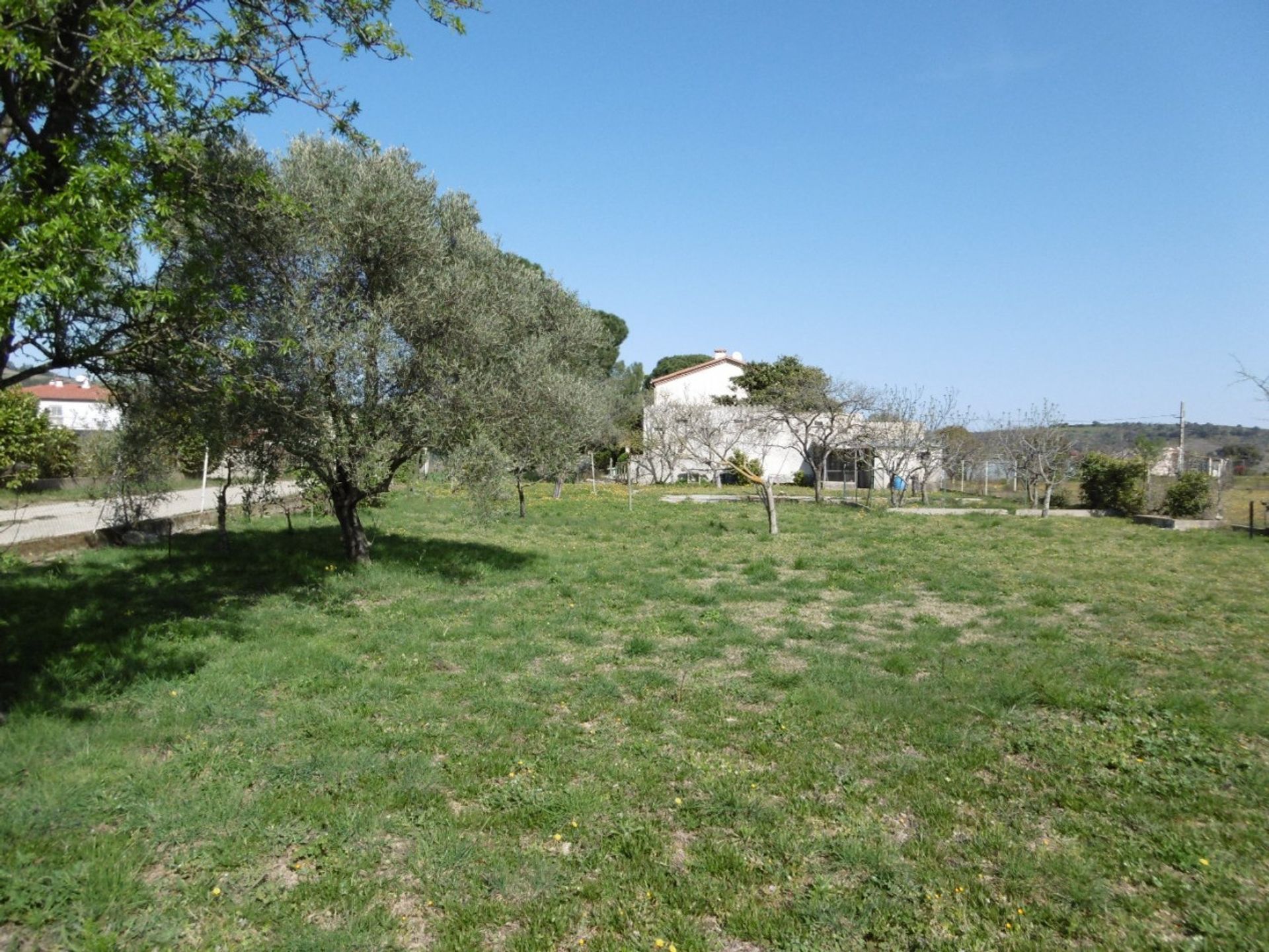 House in Céret, Occitanie 11128479