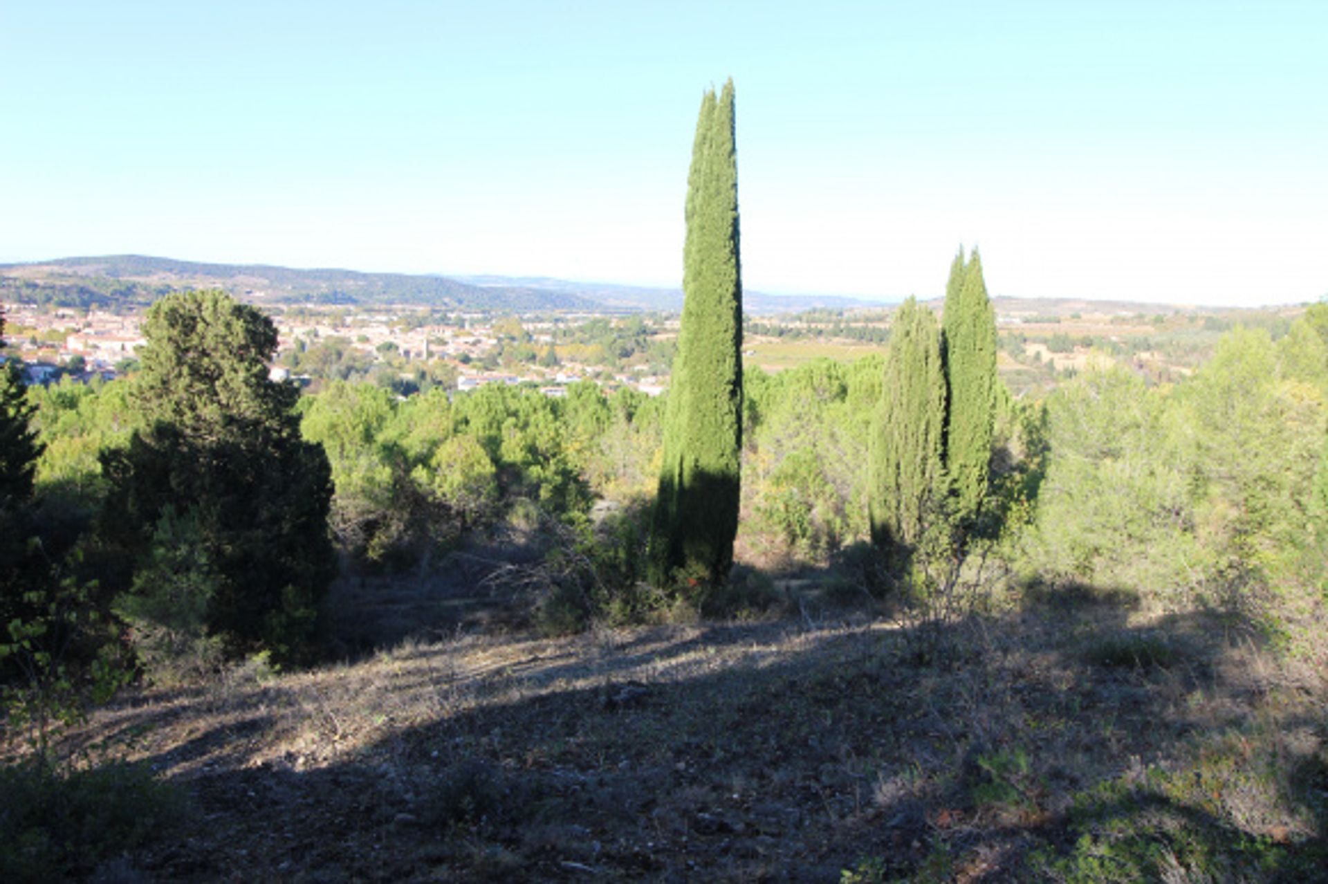 Terre dans Limoux, Occitanie 11128618