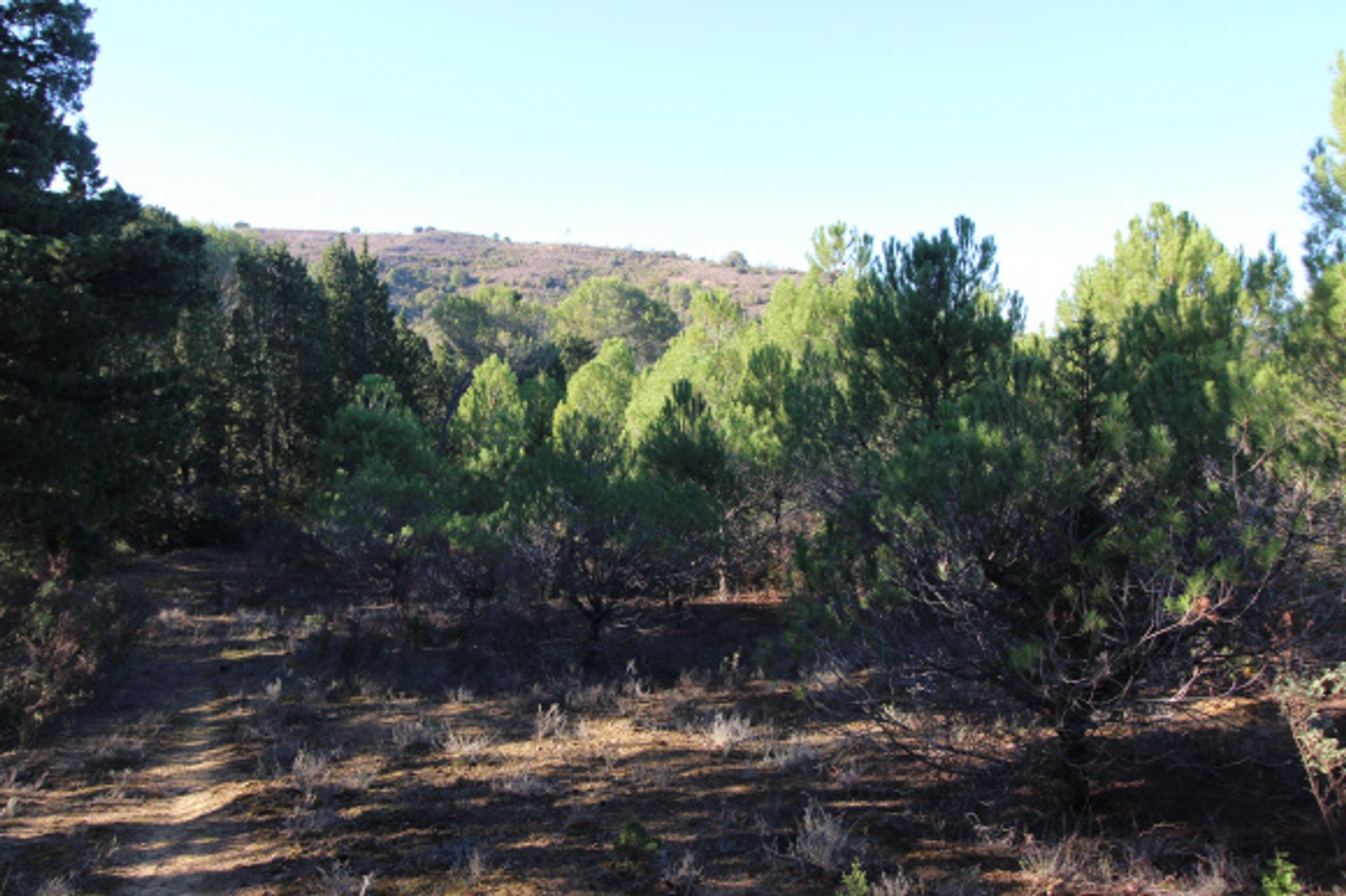 Terre dans Limoux, Occitanie 11128618