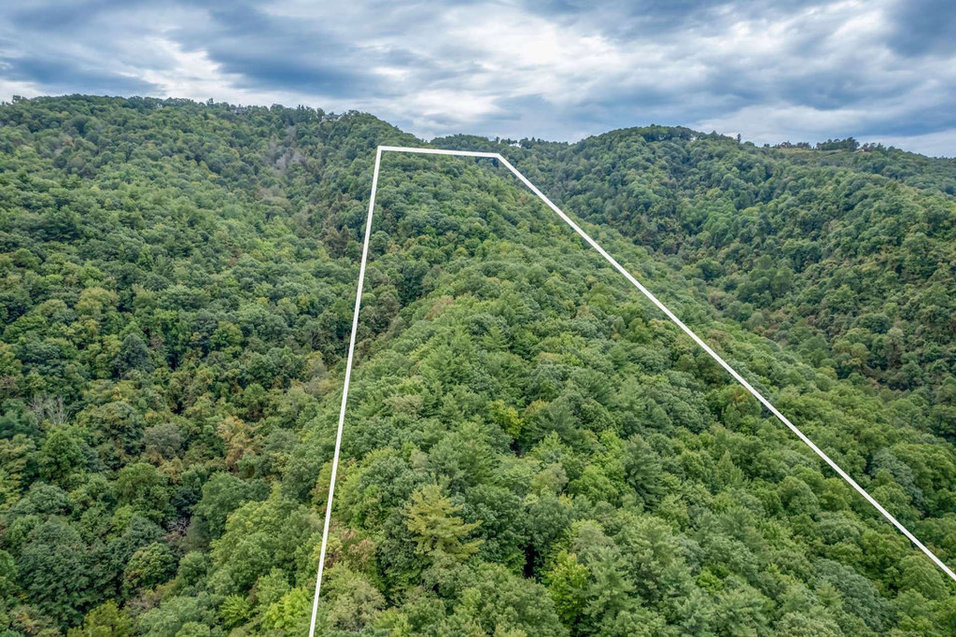 Συγκυριαρχία σε , North Carolina 11128662