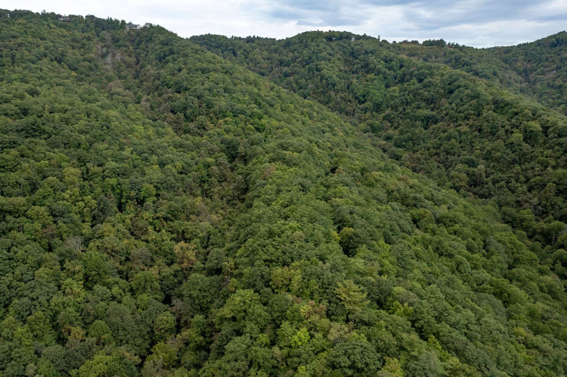 Συγκυριαρχία σε , North Carolina 11128662