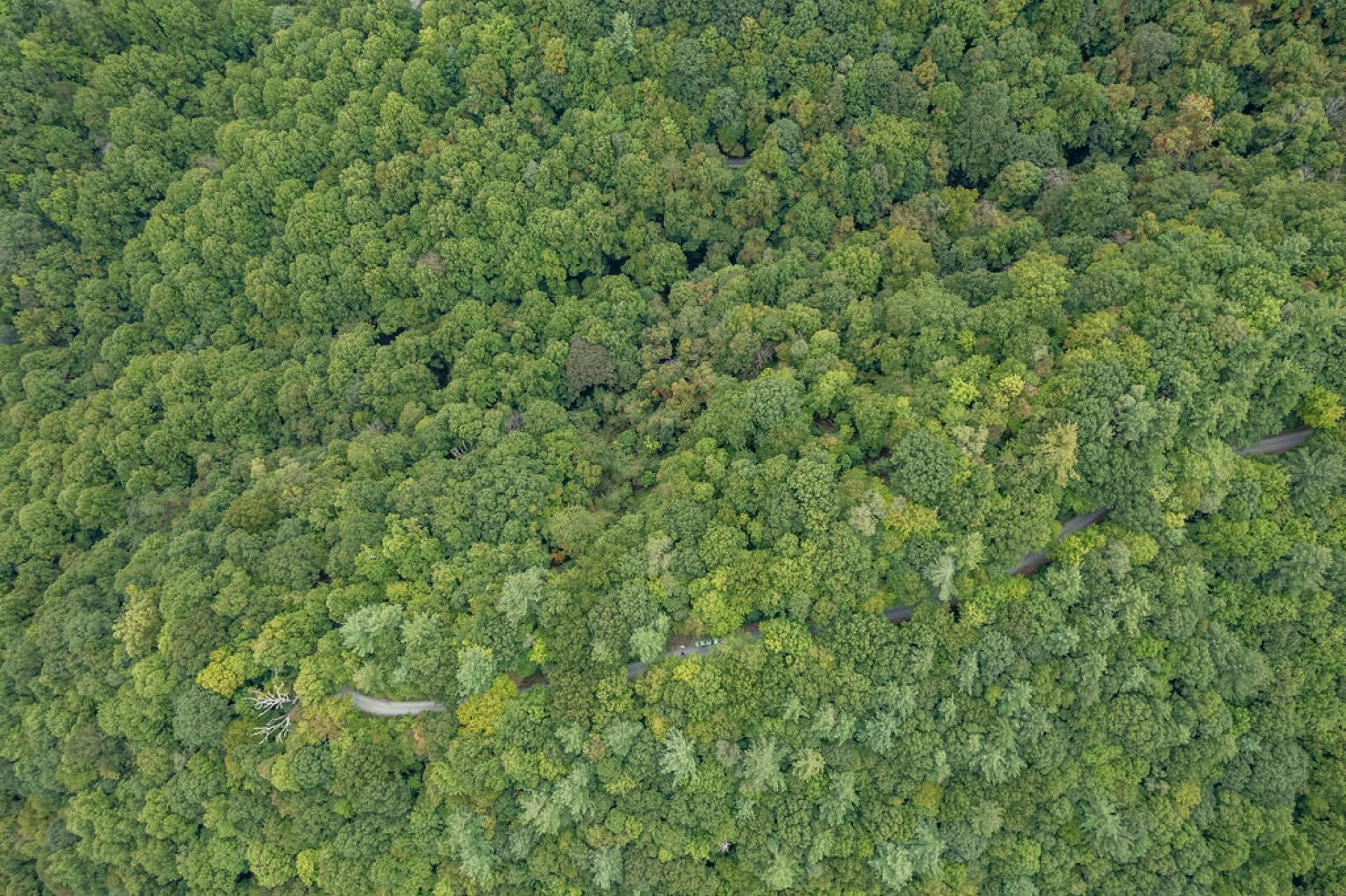 Συγκυριαρχία σε , North Carolina 11128662