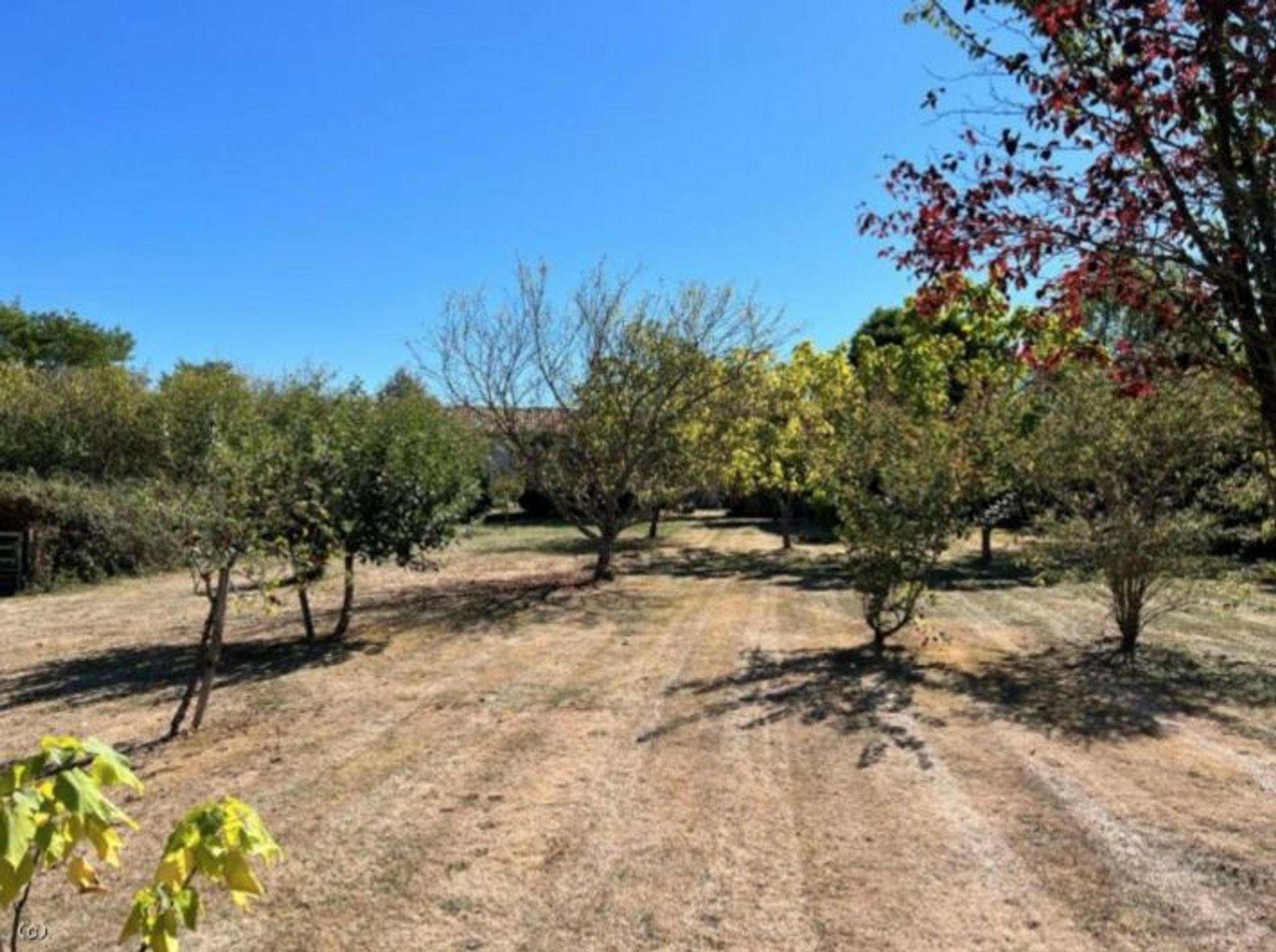 Hus i Nanteuil-en-Vallée, Nouvelle-Aquitaine 11128679