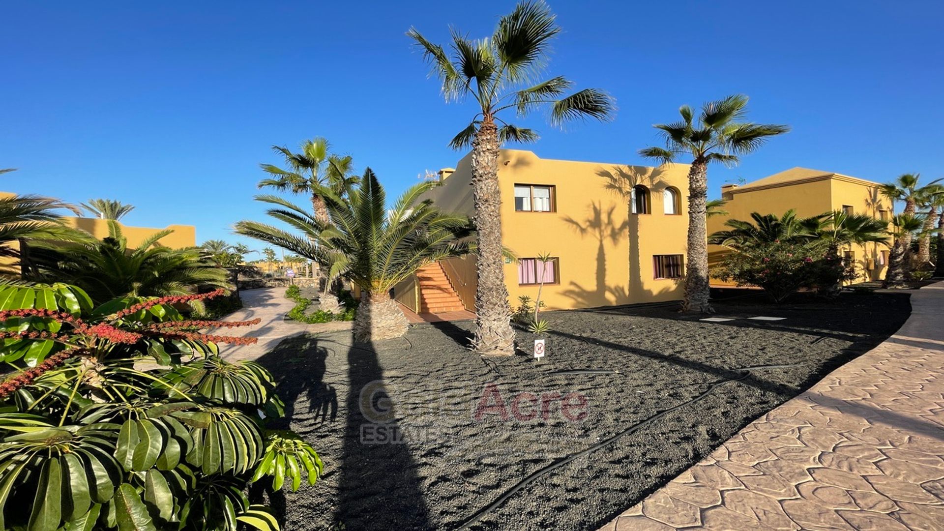 Condominio nel L'Oliva, isole Canarie 11129046